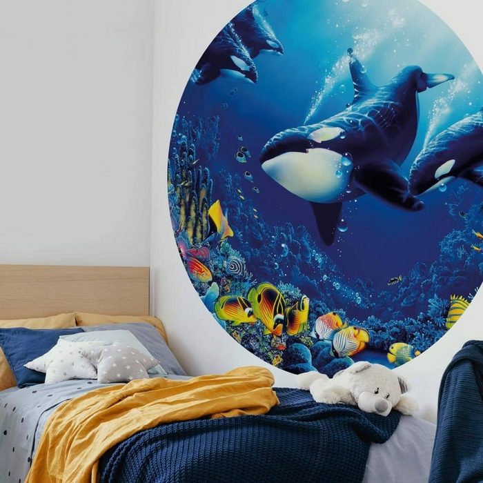 K&L Wall Art Fototapete Fototapete Schwertwal Ozean Orkas Vliestapete Rund Kinderzimmer Tapete Orca Tapete