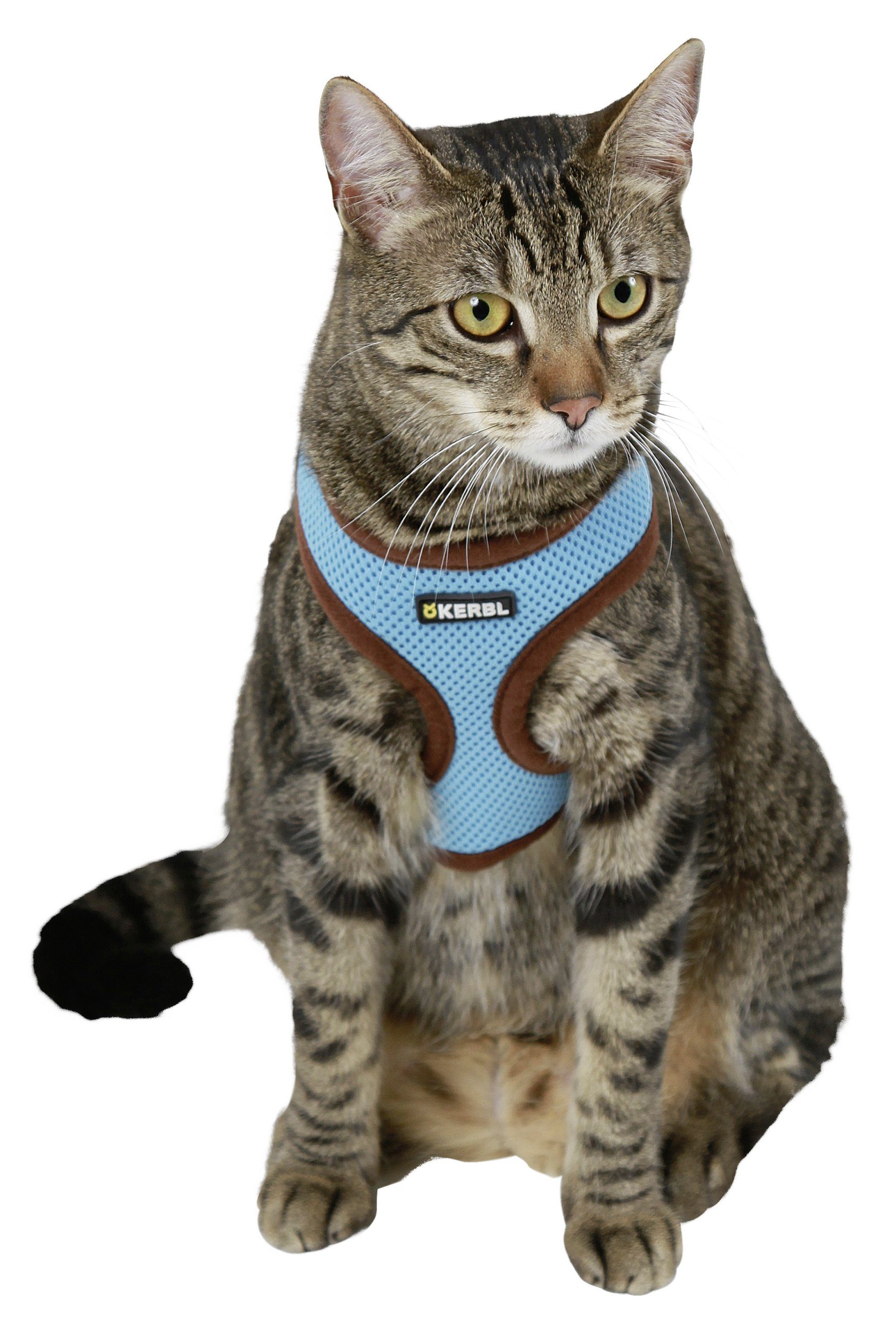 Kerbl Katzen-Halsband Kerbl Katzengeschirr Active blau inkl. Leine 120cm, Geschirr mit