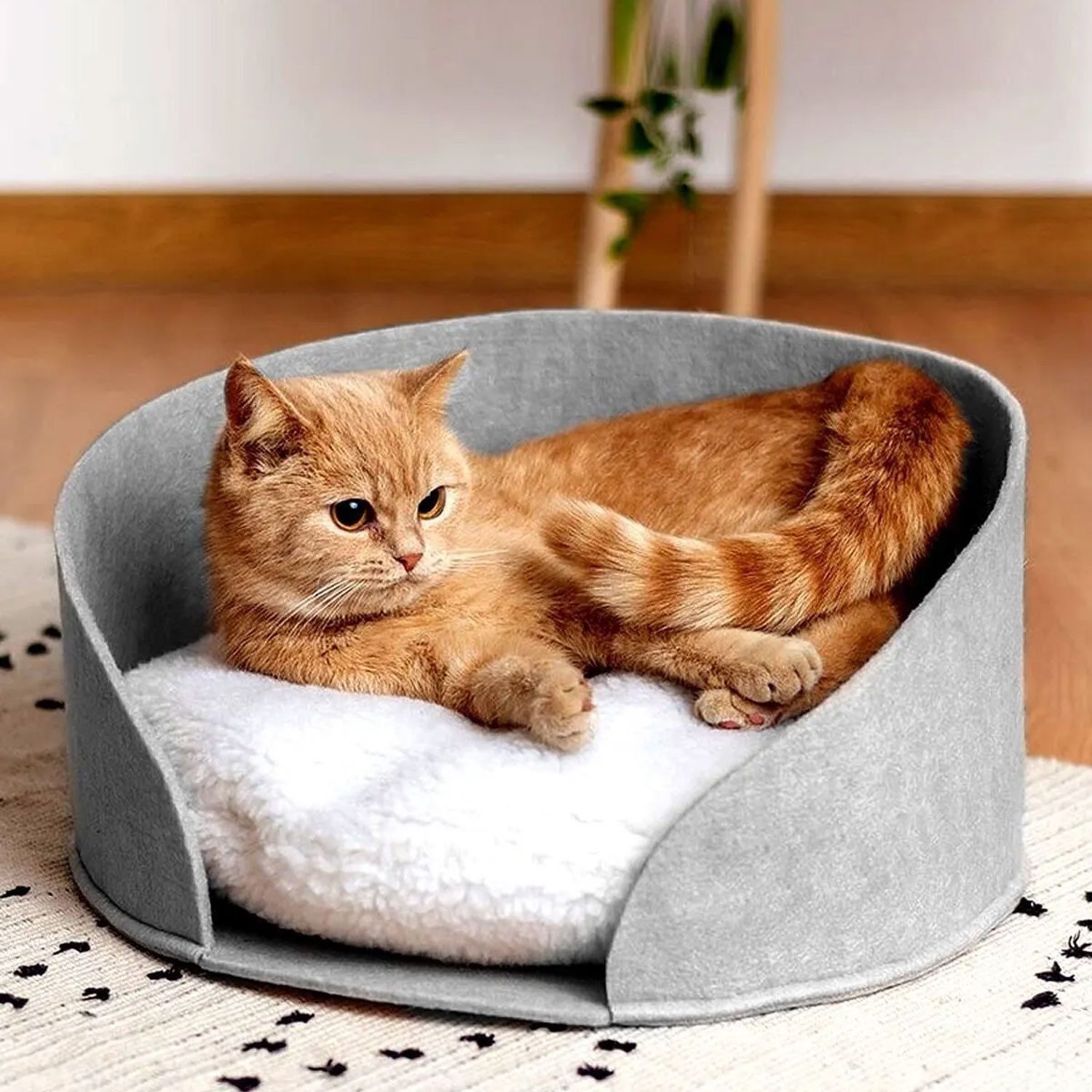 Jungengel Katzenliege Katzenbett mit Plüschkissen, Filz Körbchen Katzenplat günstig online kaufen