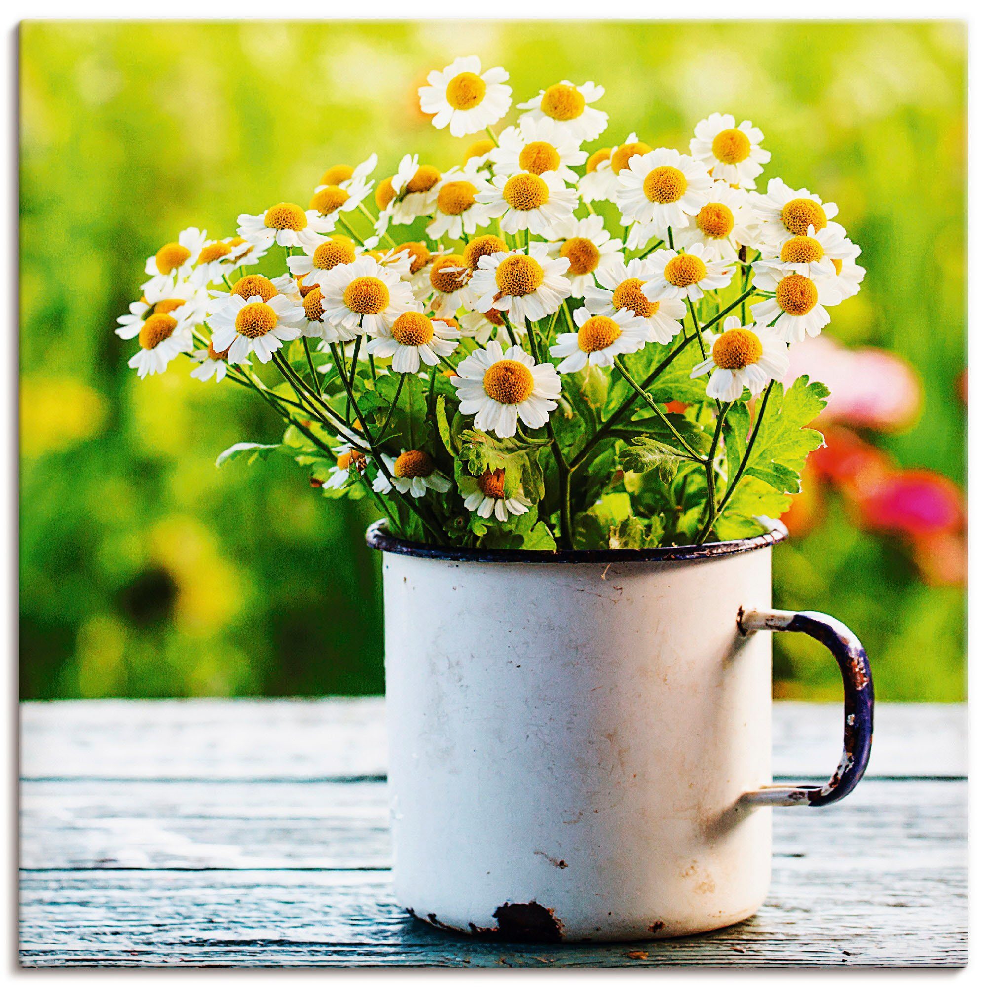 Wandbild Frühlingsgarten mit Gänseblümchen