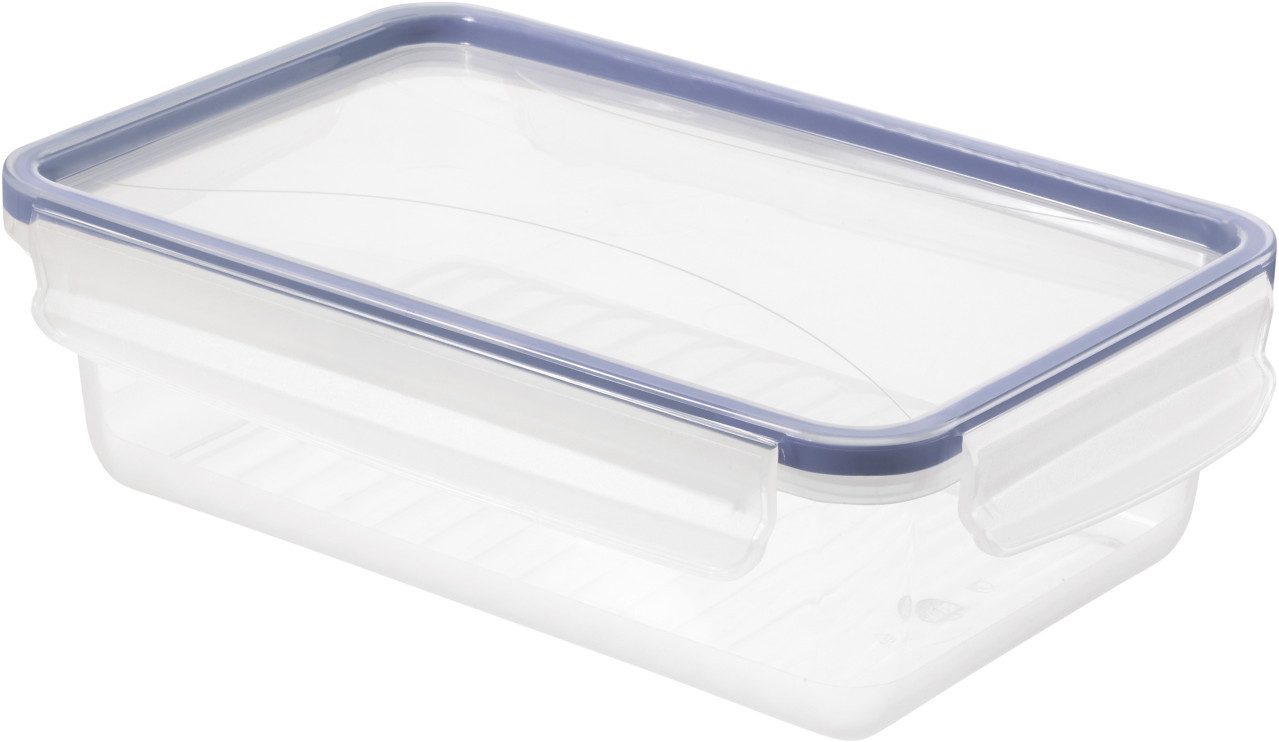 ROTHO Vorratsdose Rotho Kühlschrankdose Click & Lock, 1,5 l horizon, Silikon