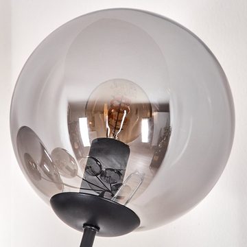 hofstein Stehlampe Stehlampe aus Metall/Glas in Schwarz/Rauchfarben, ohne Leuchtmittel, Leuchte mit Glasschirmen(15cm), 168cm, 6 x E14, ohne Leuchtmittel