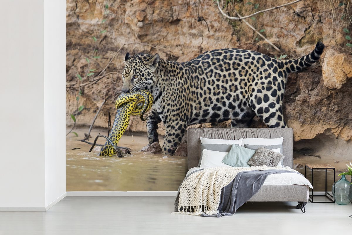 MuchoWow Fototapete Jaguar Matt, (6 - Wohnzimmer, Kinderzimmer, Schlafzimmer, - Tapete Wasser, Vinyl Schlange bedruckt, für St), Wallpaper