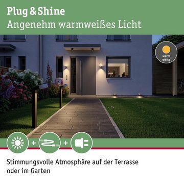 Paulmann Sockelleuchte LED Plug & Shine Bodenaufbauleuchte in anthrazit IP67 2x3W 24V, keine Angabe, Leuchtmittel enthalten: Ja, fest verbaut, LED, warmweiss, Pollerleuchte, Wegeleuchte, Wegleuchte