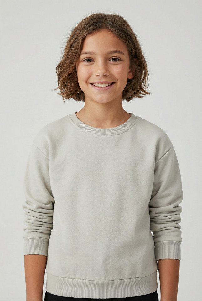 Name It Sweatshirt NKFMILLE SHORT NREG LS SWE O-NECK NOOS