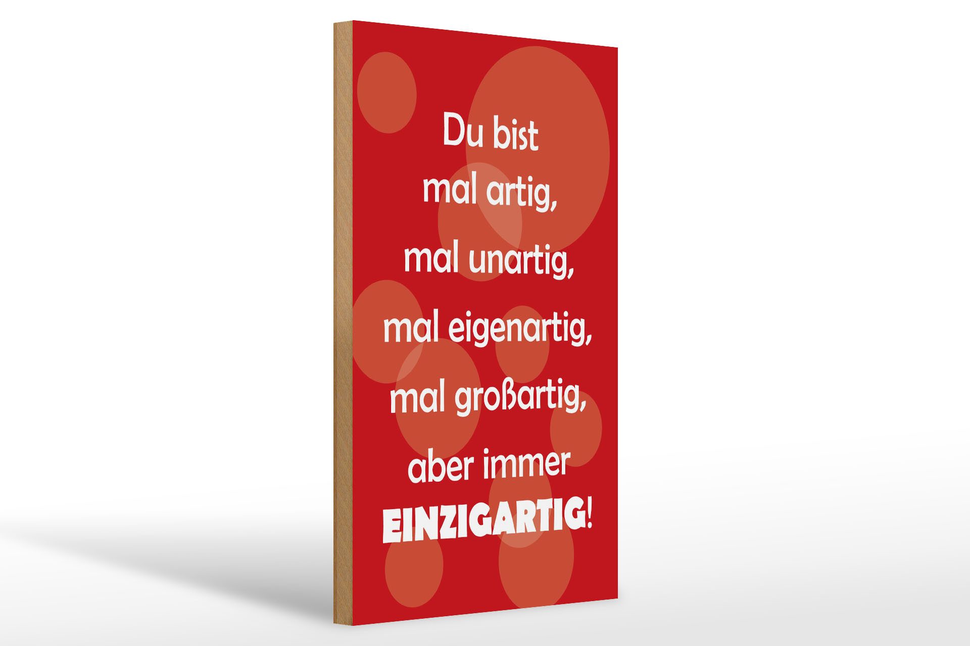 Holzbild Spruch 20x30cm Du bist Einzigartig