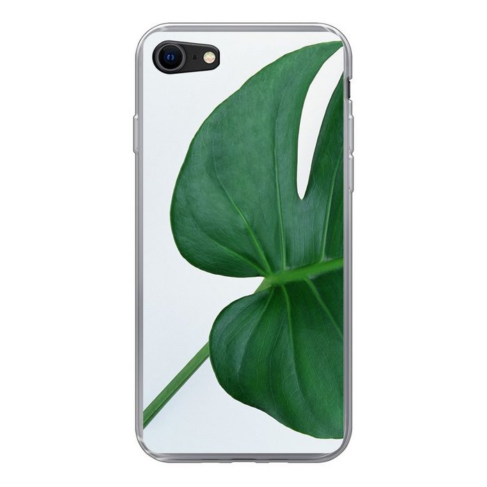 MuchoWow Handyhülle Botanische Lochpflanze auf einem hellgrauen Hintergrund Handyhülle Apple iPhone 7 Smartphone-Bumper Print Handy Schutzhülle