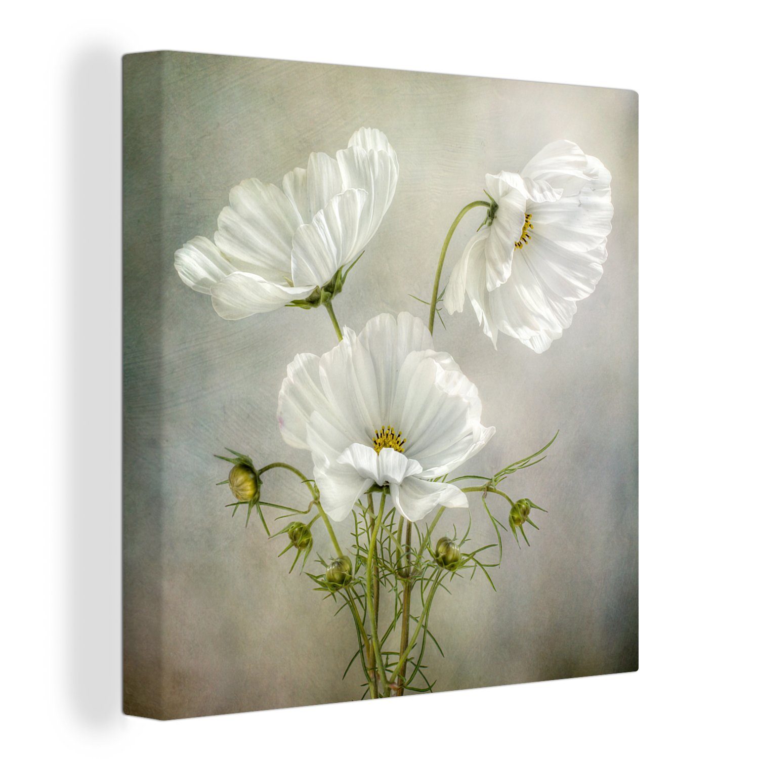 OneMillionCanvasses® Leinwandbild Blumen - Stillleben - Mohn - Weiß - Botanisch, Fotodruck (1 St), Wandbild, Deko Schlafzimmer Wohnzimmer Flur 20x20 cm