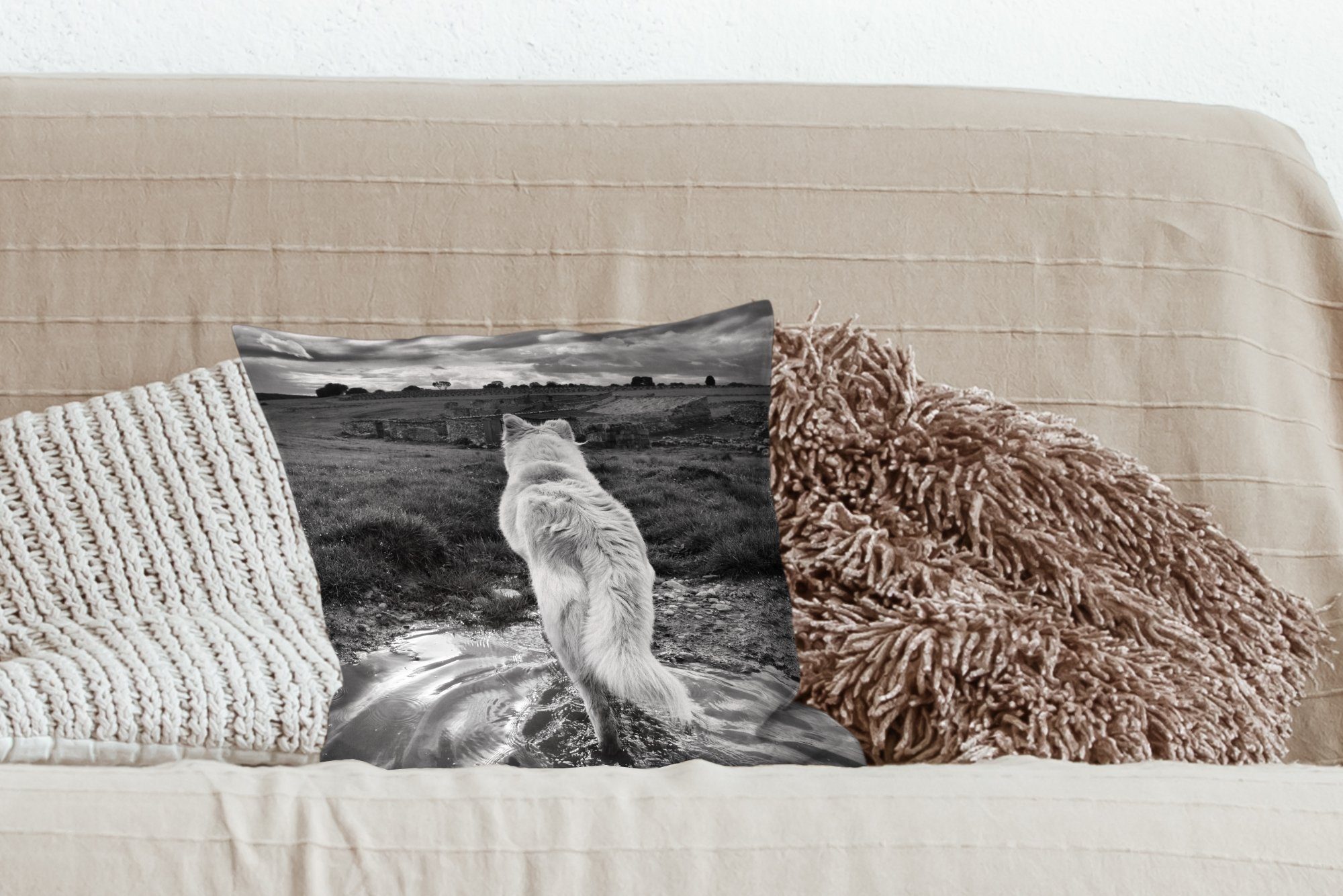Weiß, Blick und Landschaft Schlafzimmer, Wohzimmer, auf Sofakissen in Wolf mit Schwarz Dekokissen die für Füllung Zierkissen mit Deko, MuchoWow