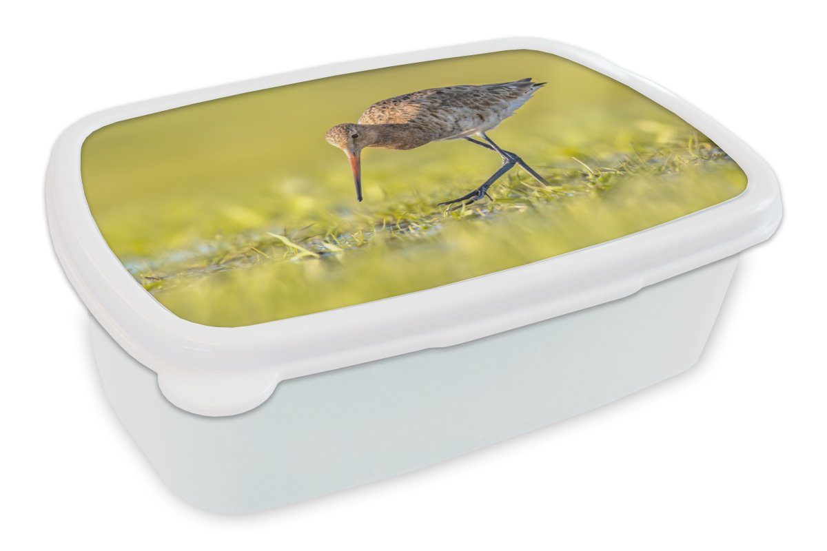 Landschaft und für - (2-tlg), weiß Lunchbox - und Kunststoff, MuchoWow - Gras Brotdose, Mädchen für Brotbox Jungs Kinder Uferschnepfe, Vögel Erwachsene,