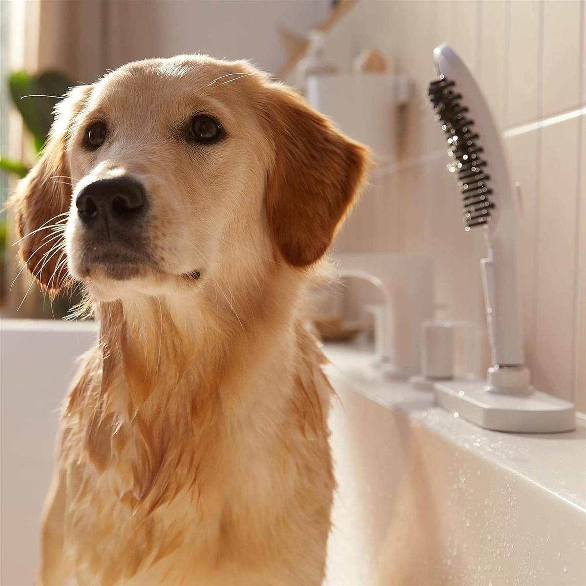 hansgrohe Duschbrause hansgrohe DogShower - Hundedusche mit 3 Strahlarten, günstig online kaufen