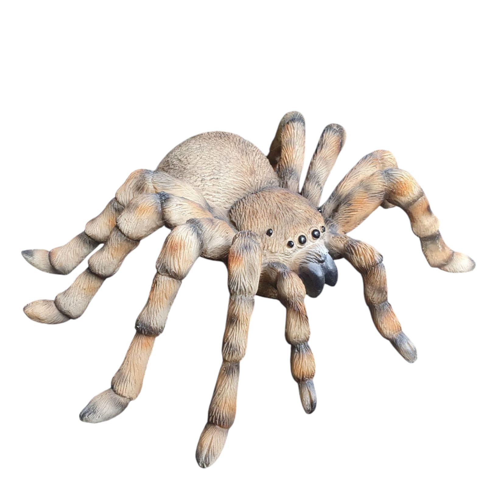 Aspinaworld Gartenfigur Vogelspinne Figur 26 cm breit – für Pflanzfläche