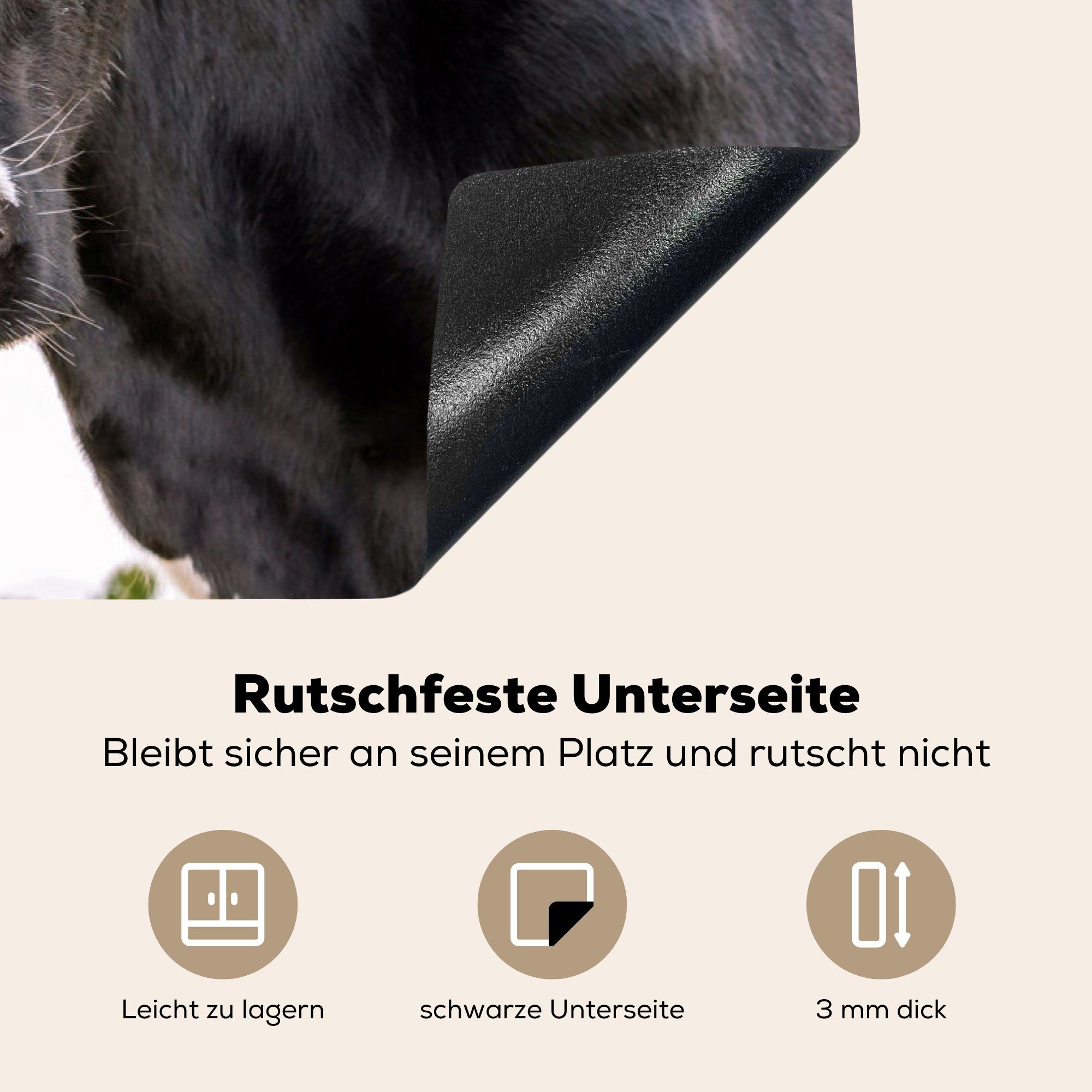 Induktionskochfeld Vinyl, cm, für Kuh Ceranfeldabdeckung Herdblende-/Abdeckplatte - Porträt - die (1 Schwarz, Schutz 81x52 MuchoWow Tier küche, - tlg),