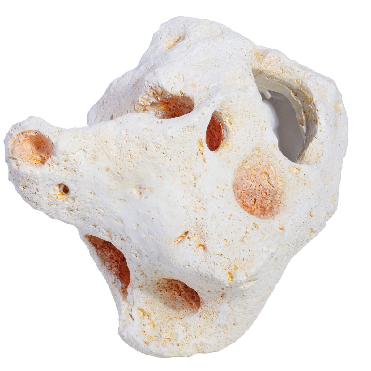 HOBBY Aquariendeko Cavity Rock 4, Dekoration für Aquarium und Terrarium