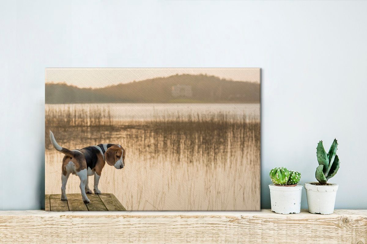 See, Wanddeko, Beagle einem (1 30x20 Leinwandbilder, Wandbild Aufhängefertig, OneMillionCanvasses® St), an Leinwandbild cm