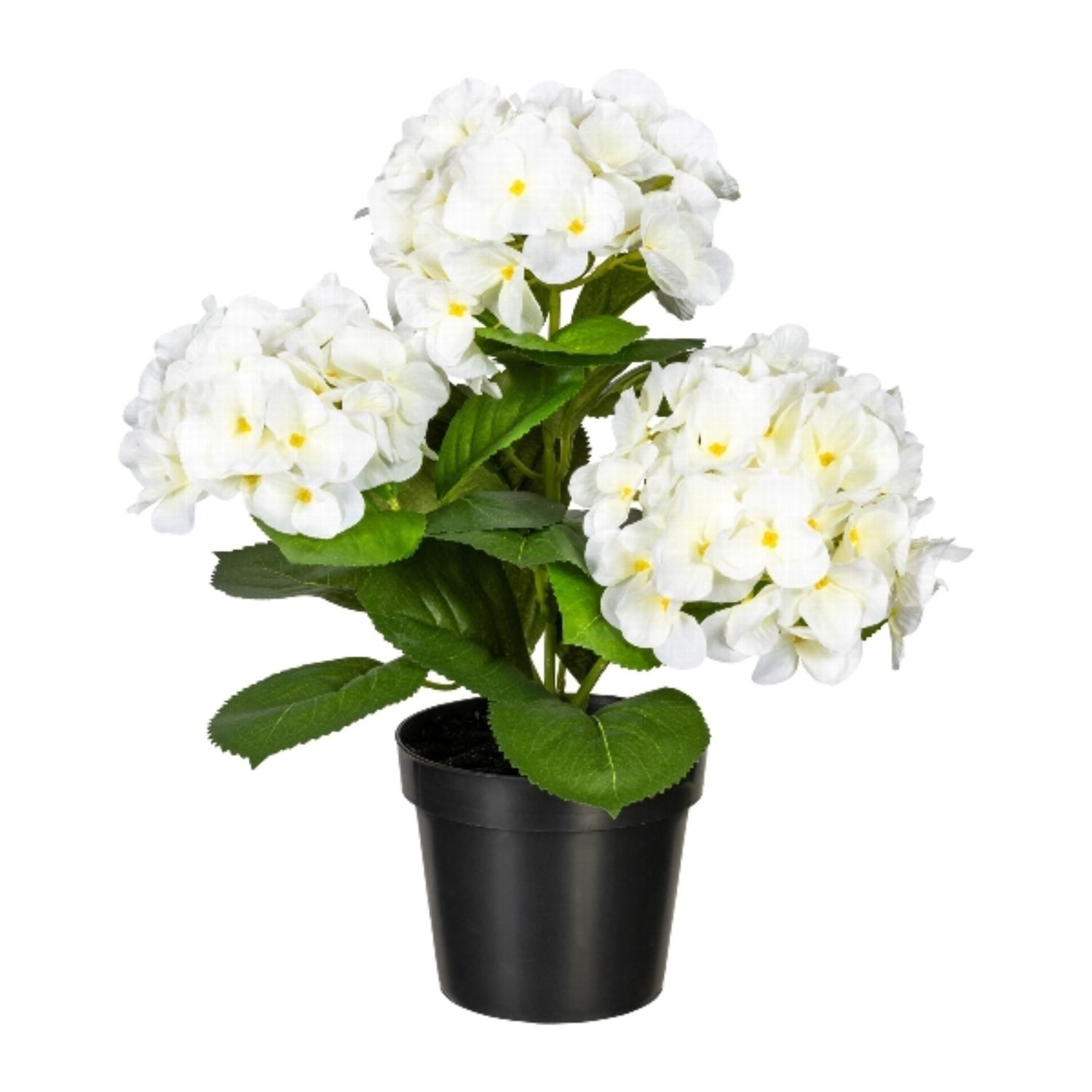 Künstliche Zimmerpflanze Topfpflanze Topfpflanze, Gasper, Höhe 35 cm, im Topf, Weiß, Hortensie, H: 35cm