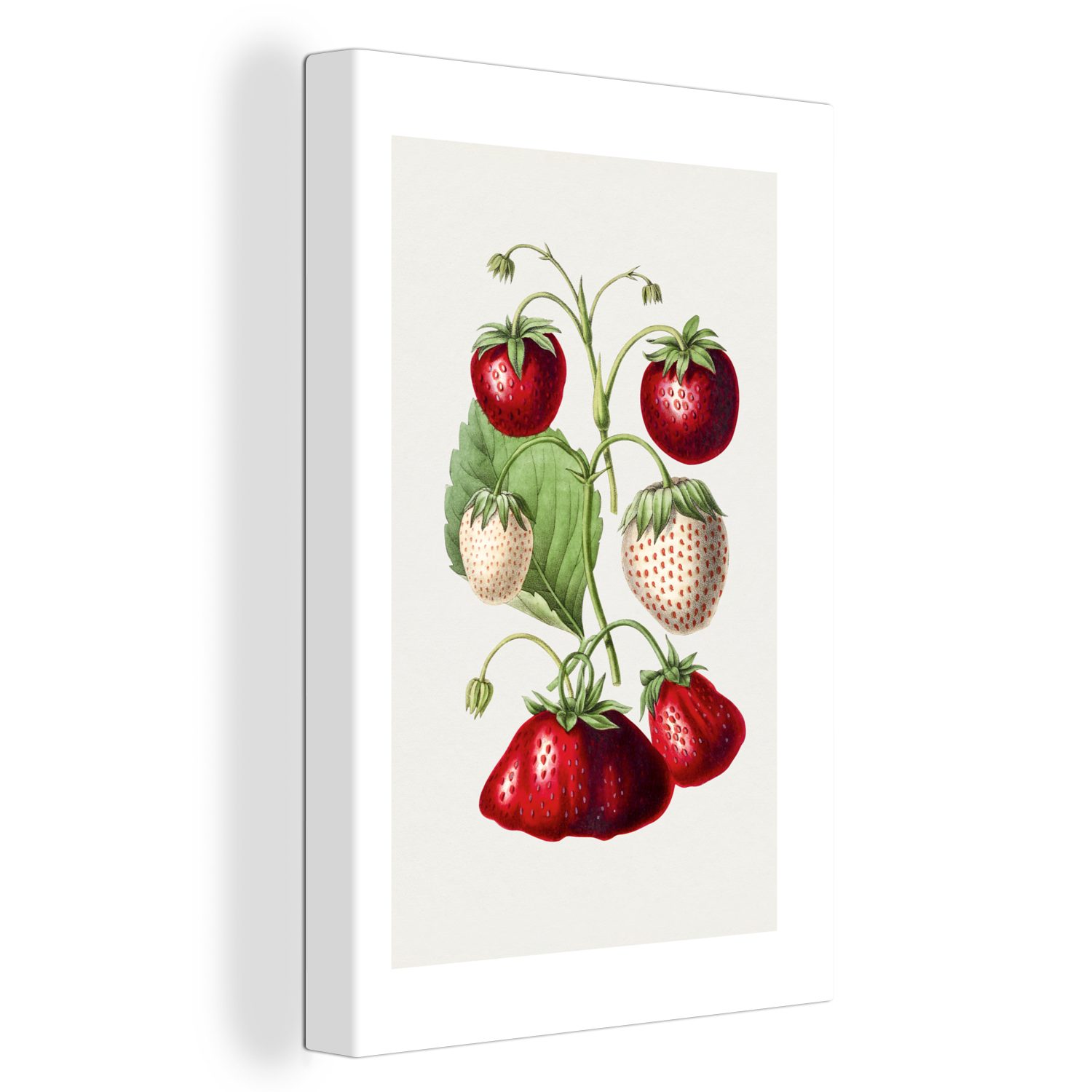 OneMillionCanvasses® Leinwandbild Erdbeere - Obst - Lebensmittel, (1 St), Leinwandbild fertig bespannt inkl. Zackenaufhänger, Gemälde, 20x30 cm