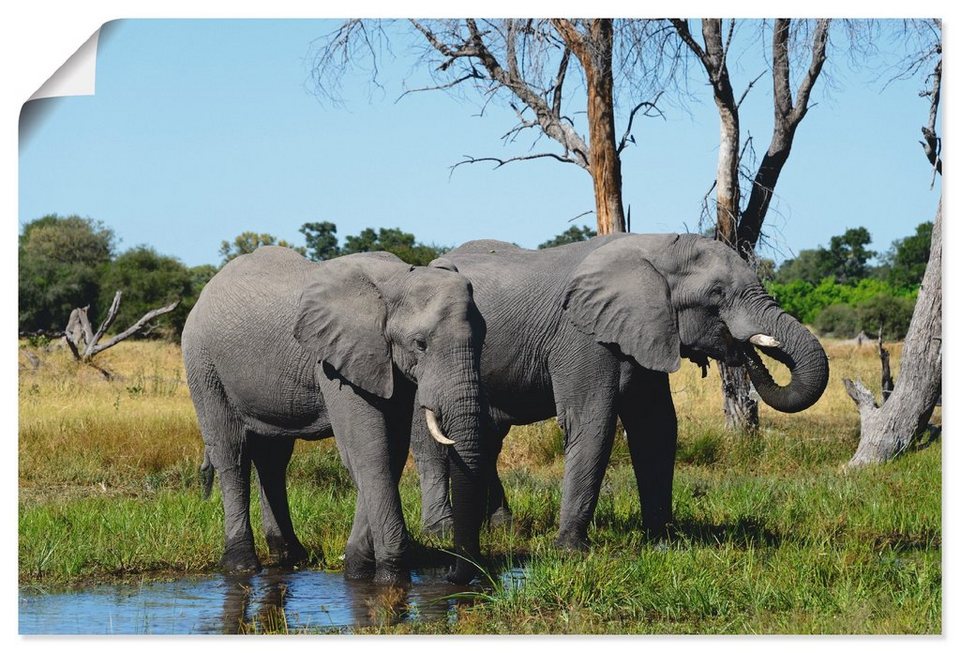 Artland Wandbild Afrikanische Elefanten, Wildtiere (1 St), als Leinwandbild,  Poster in verschied. Größen