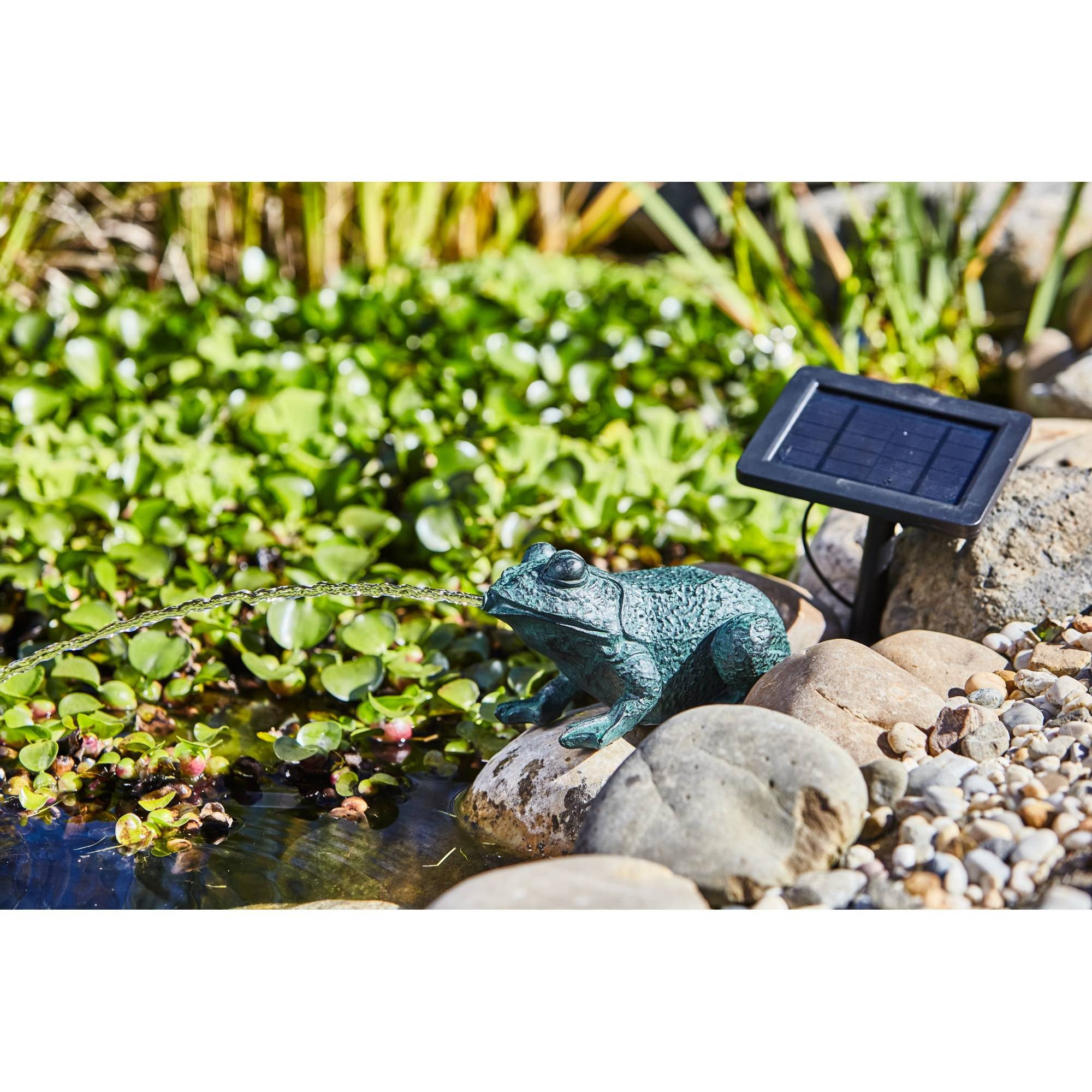 Heissner Wasserspeier Heissner SOLAR Teichfigur 'Frosch' mit Wasserspiel (1 St)