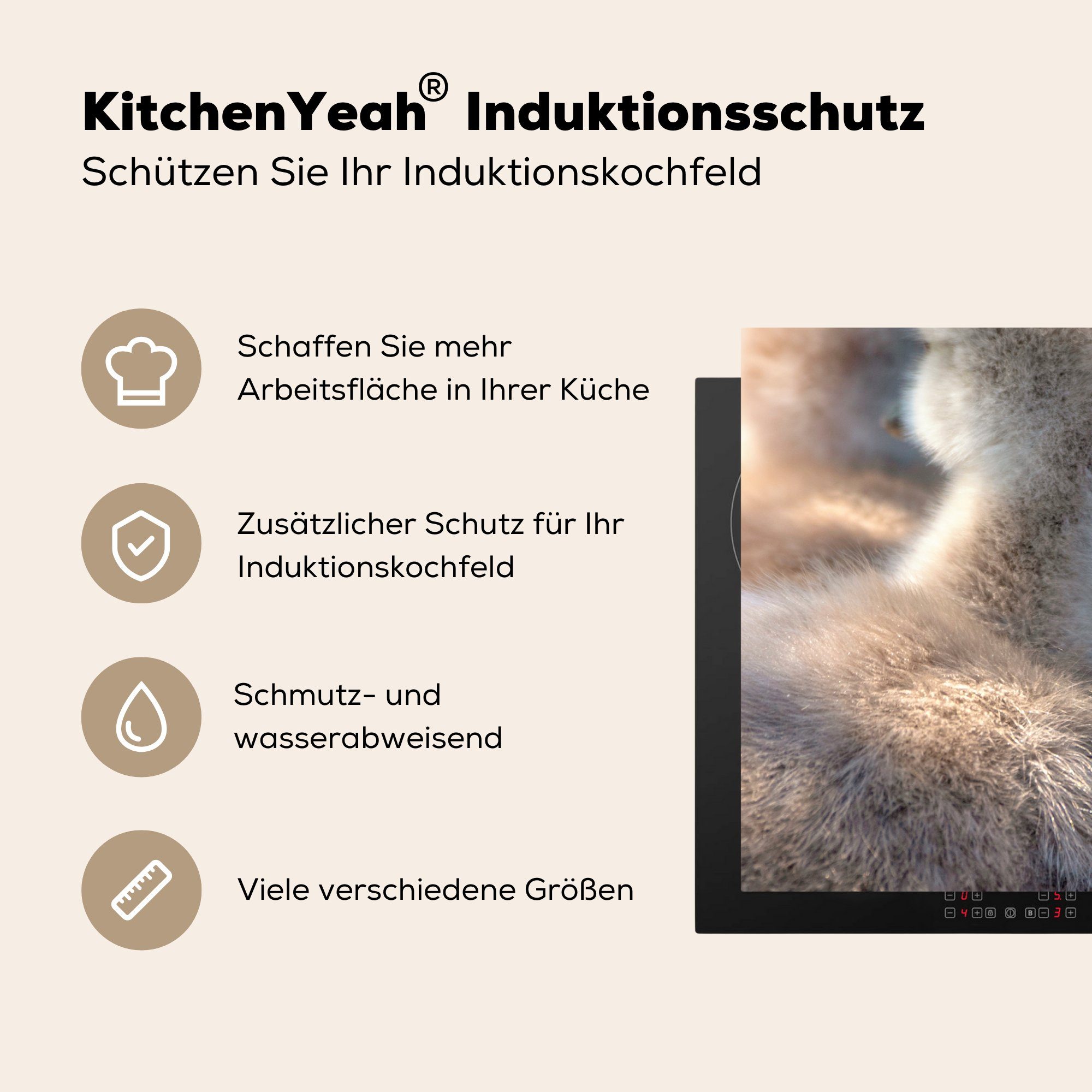 für cm, - Ceranfeldabdeckung Herdblende-/Abdeckplatte küche, Licht (1 Küken, Induktionskochfeld - die Schwäne Vinyl, Schutz tlg), 81x52 MuchoWow