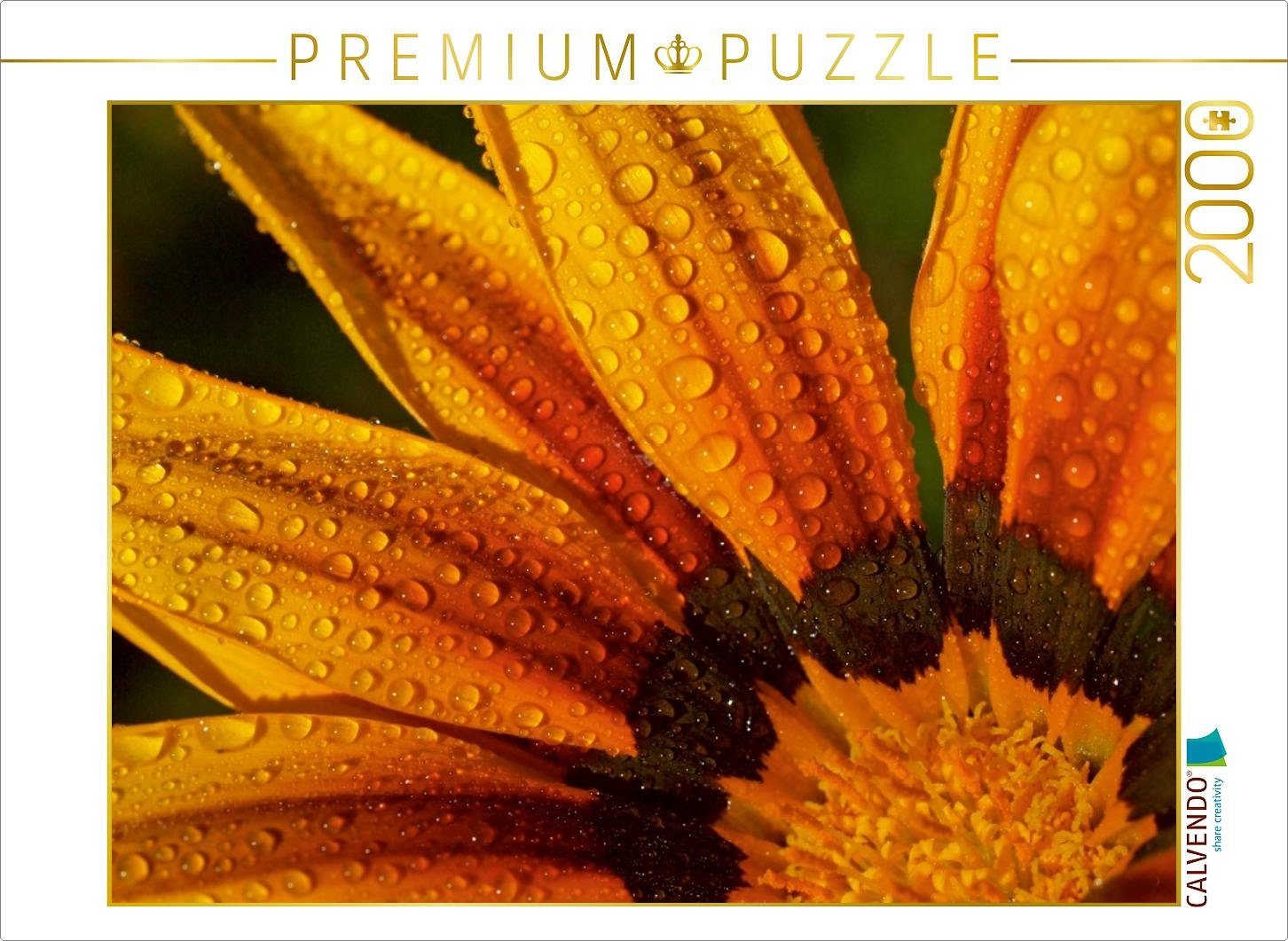 CALVENDO Puzzle CALVENDO Puzzle Regentropfen auf Mittagsblume 2000 Teile Lege-Größe 90 x 67 cm Foto-Puzzle Bild von Dagmar Laimgruber, 2000 Puzzleteile