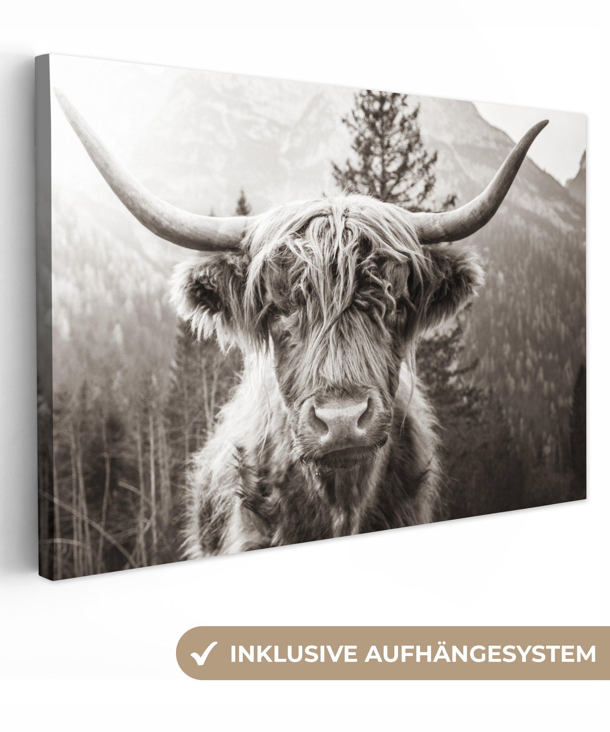 OneMillionCanvasses® Leinwandbild Schottischer Highlander - 120x80 Wohnbereiche, XXL, Wandbild für Kuh - cm alle Schwarz St), großes, (1 Gemälde, - Weiß, - Tiere