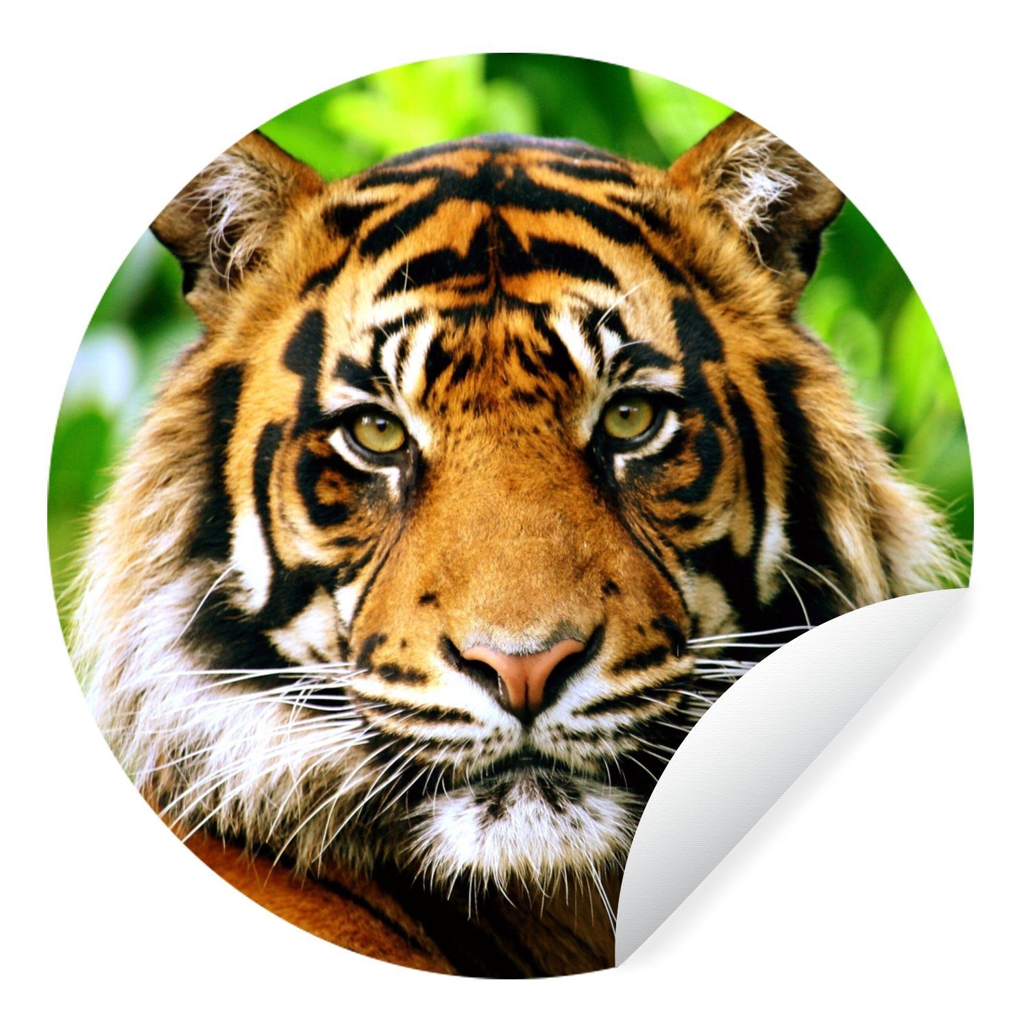 MuchoWow Wandsticker Porträt eines Sumatra-Tigers im Dschungel (1 St), Tapetenkreis für Kinderzimmer, Tapetenaufkleber, Rund, Wohnzimmer