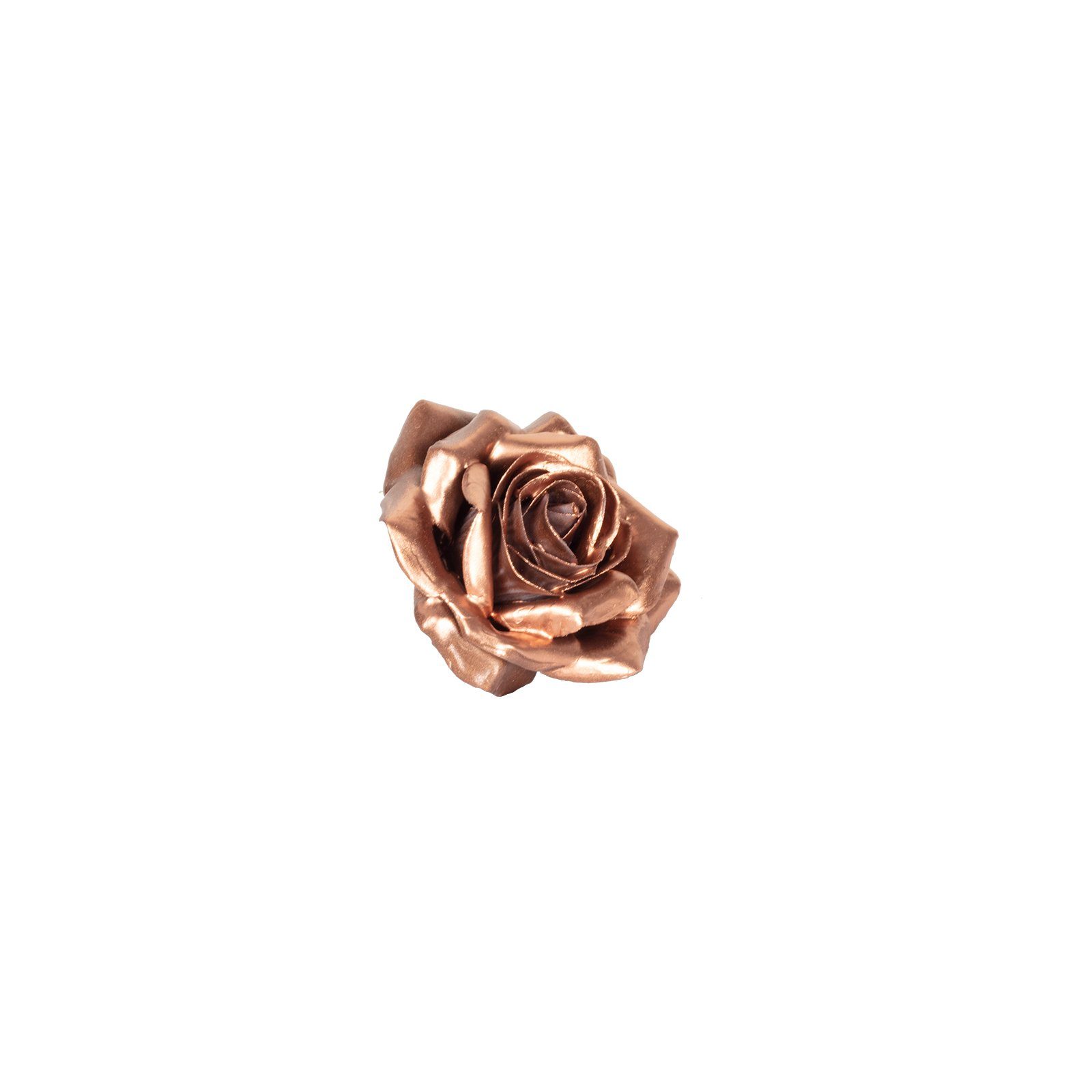 Trockenblume 12er Set Wachsrose - Copper, Primera, Höhe 25 cm