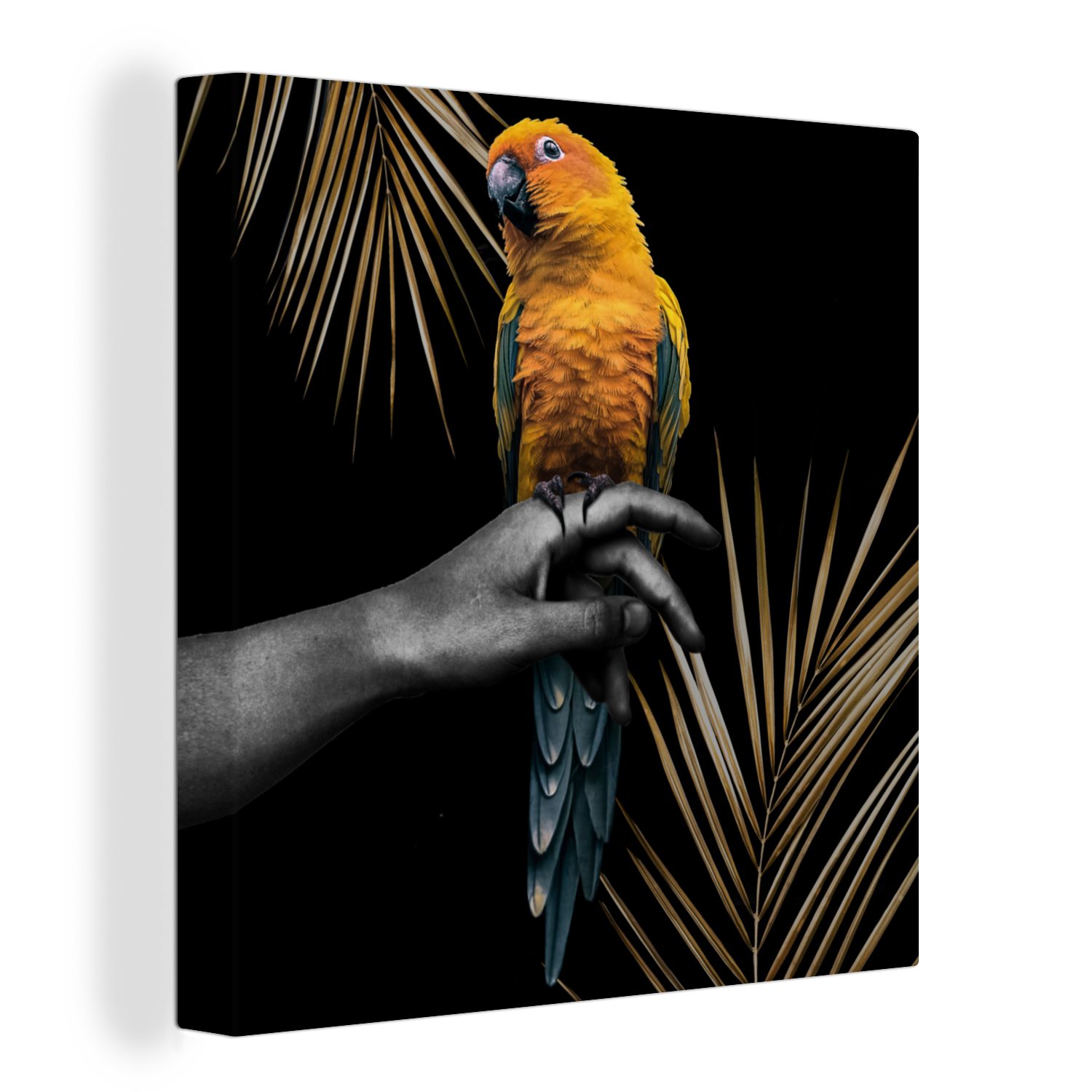 OneMillionCanvasses® Leinwandbild Vogel - Papagei - Hand - Farn, (1 St), Leinwand Bilder für Wohnzimmer Schlafzimmer bunt