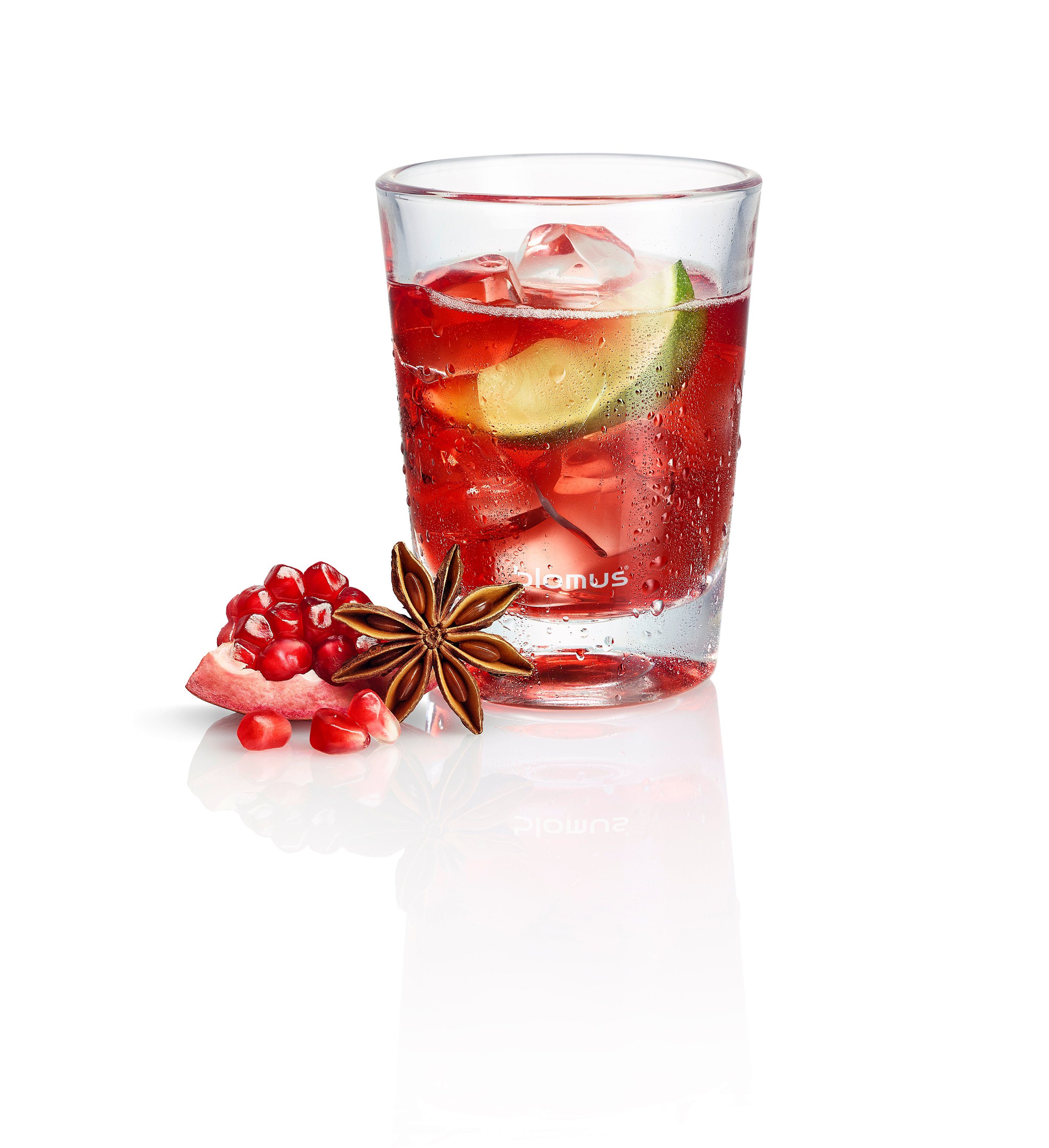 blomus Wasserkaraffe TEA JAY Glas Eistee Zubereiter 800 ml / 27oz., (kein-set)