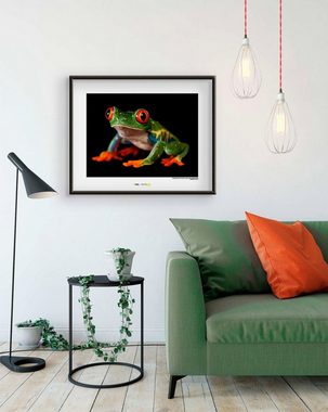 Komar Poster Red-eyed Treefrog, Tiere, Höhe: 40cm