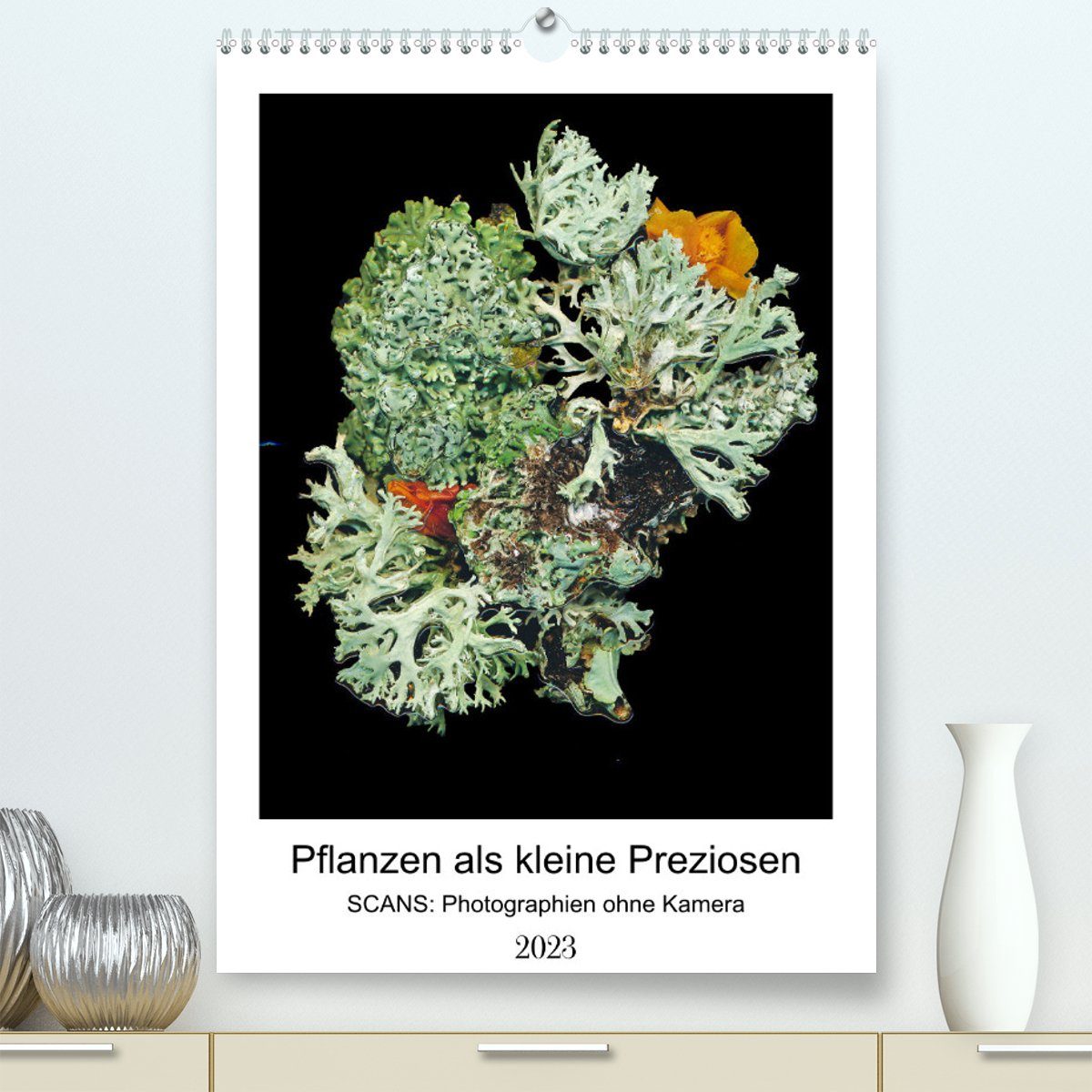 CALVENDO Wandkalender Pflanzen als kleine Preziosen (Premium, hochwertiger DIN A2 Wandkalender 2023, Kunstdruck in Hochglanz)