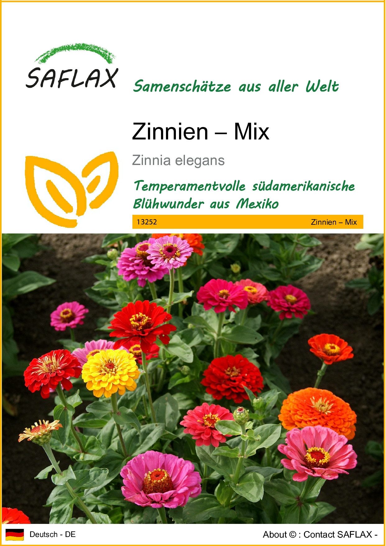 Blumensamen SAFLAX - Samen - Zinnien – Mix