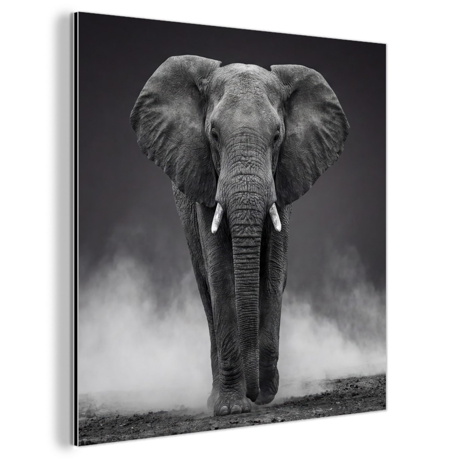 MuchoWow Metallbild Elefant - Schwarz - Weiß - Rauch, Inkl. Aufhängung, Alu-Dibond-Druck, Wandbild aus Metall, Aluminium deko, 20x20 cm