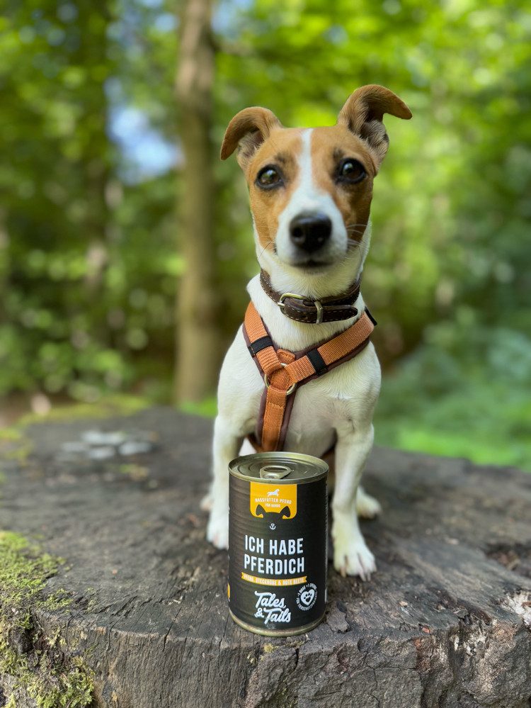 Tales & Tails Nassfutter Ich habe PFERDich 400g, Nassfutter für: Hunde