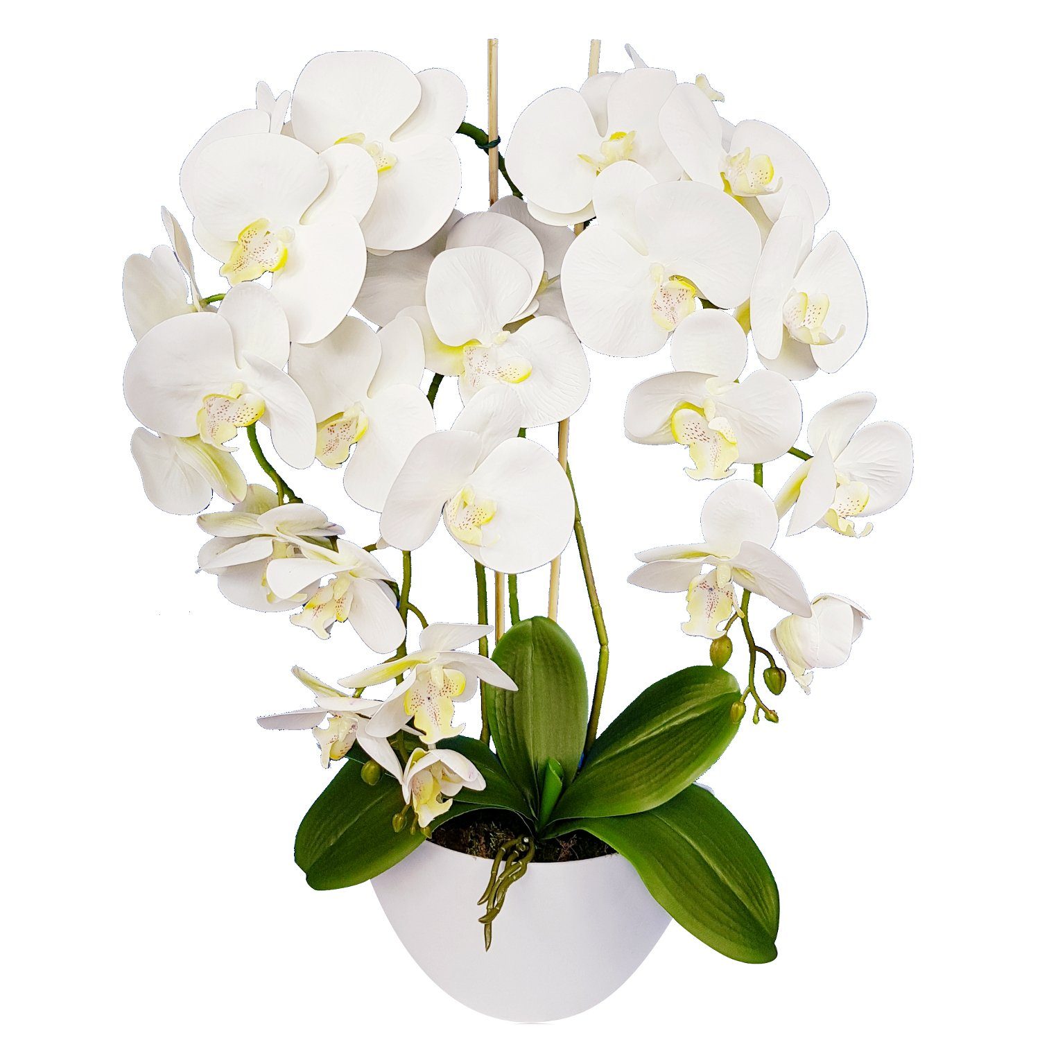 Kunstblume Orchidee, damich, Höhe 60 cm, Künstliche Orchidee im Blumentopf günstig online kaufen