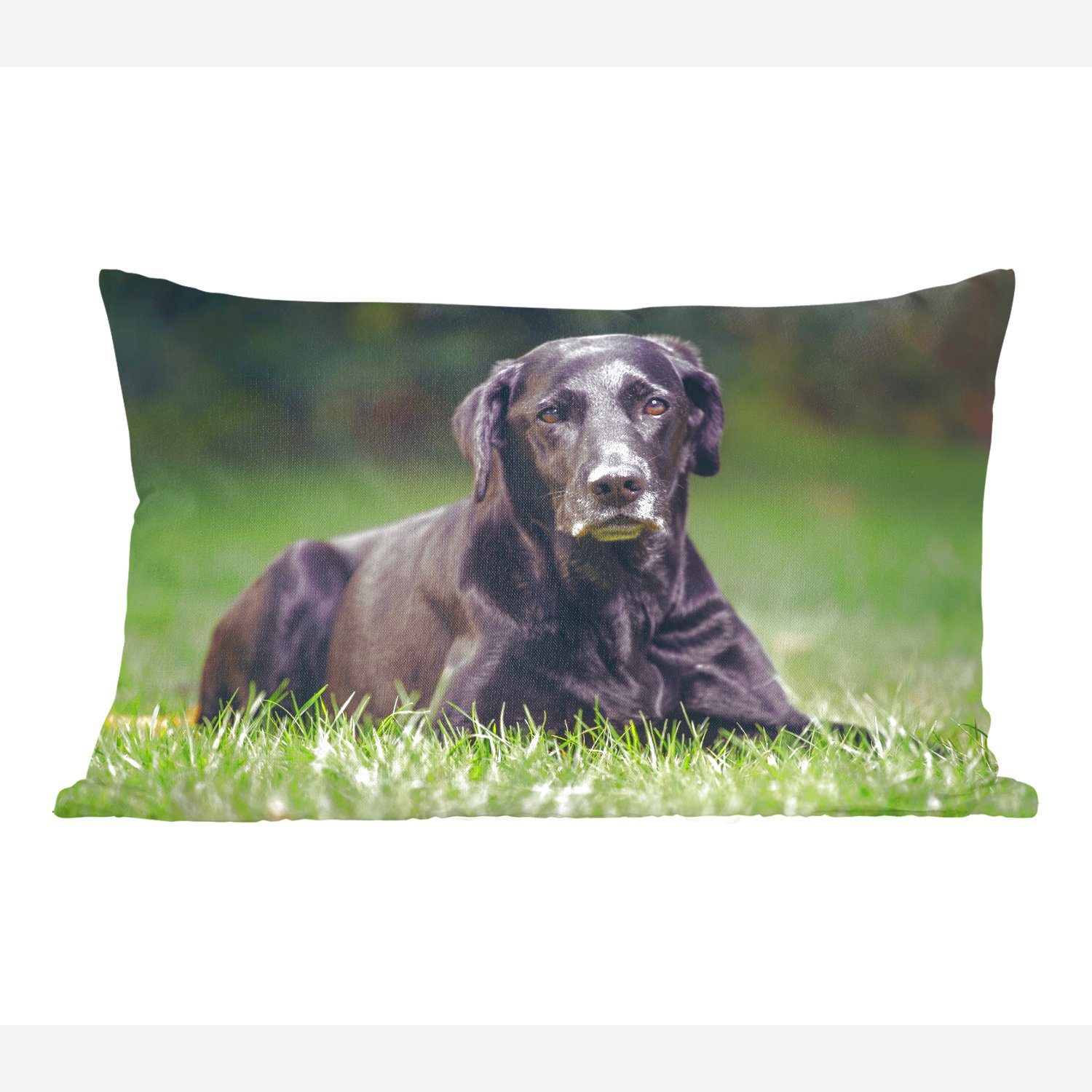 MuchoWow Dekokissen Ein schwarzer Labrador im Gras, Wohzimmer Dekoration, Zierkissen, Dekokissen mit Füllung, Schlafzimmer