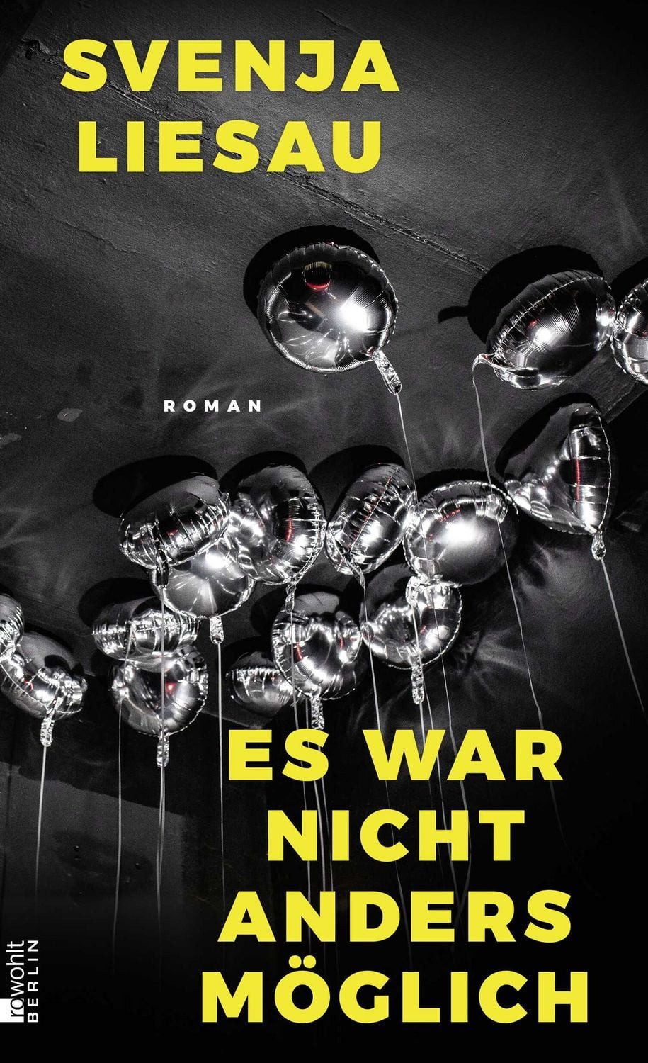 Es war nicht anders möglich / Svenja Liesau