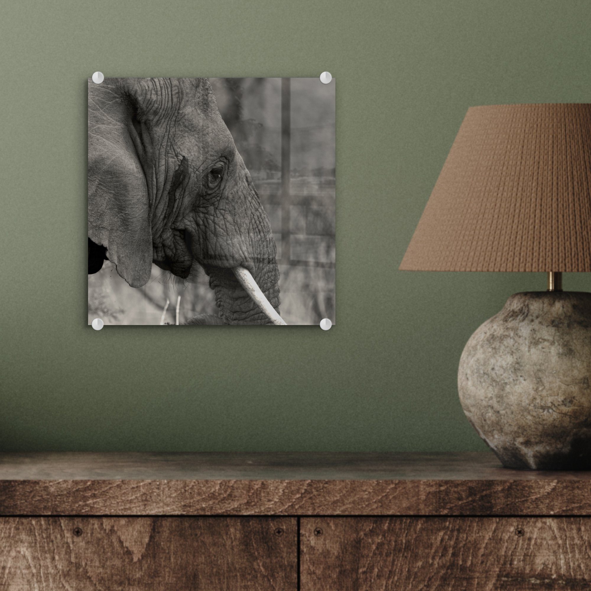Bilder auf Wandbild Foto - Schwarz St), Weiß, (1 auf - - Tiere Glasbilder Elefant - Acrylglasbild Glas Glas - Wanddekoration MuchoWow -