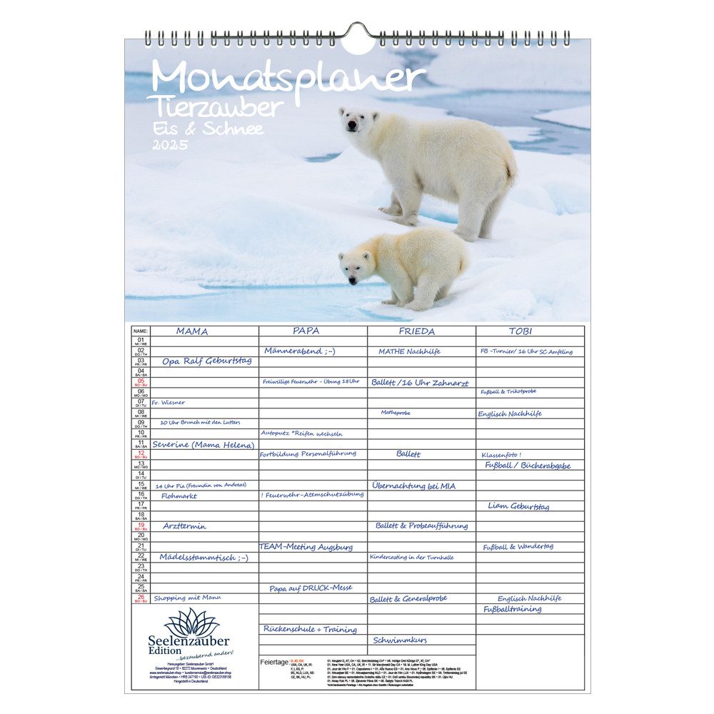 Seelenzauber Familienkalender Tierzauber Eis und Schnee Familien Planer Kalender 2025 DIN A3 Tiere