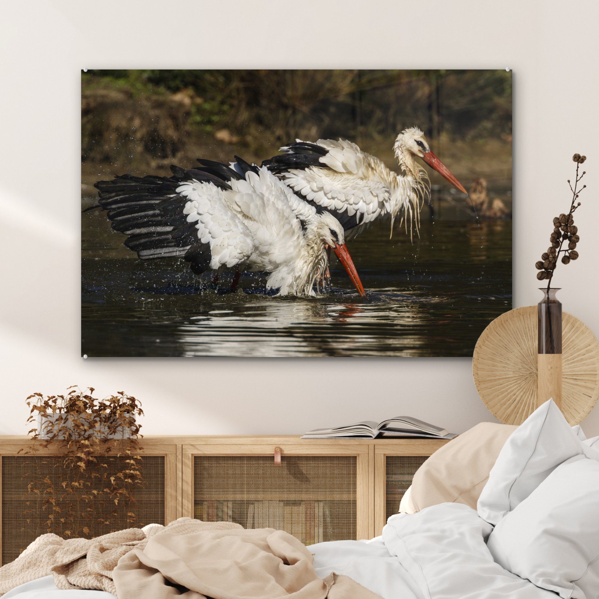 Acrylglasbilder Wohnzimmer Wasser & Schlafzimmer St), - - Storch Weiß, Acrylglasbild (1 MuchoWow