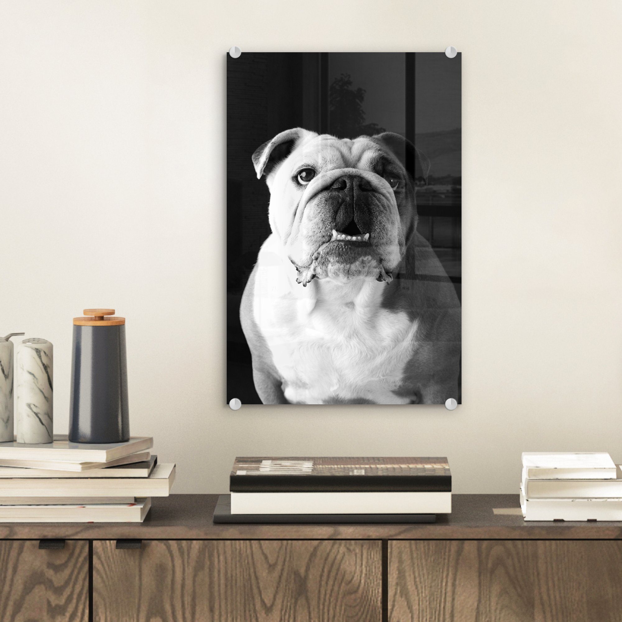 MuchoWow Acrylglasbild Porträt einer Englischen Bulldogge - schwarz und  weiß, (1 St), Glasbilder - Bilder auf Glas Wandbild - Foto auf Glas -  Wanddekoration