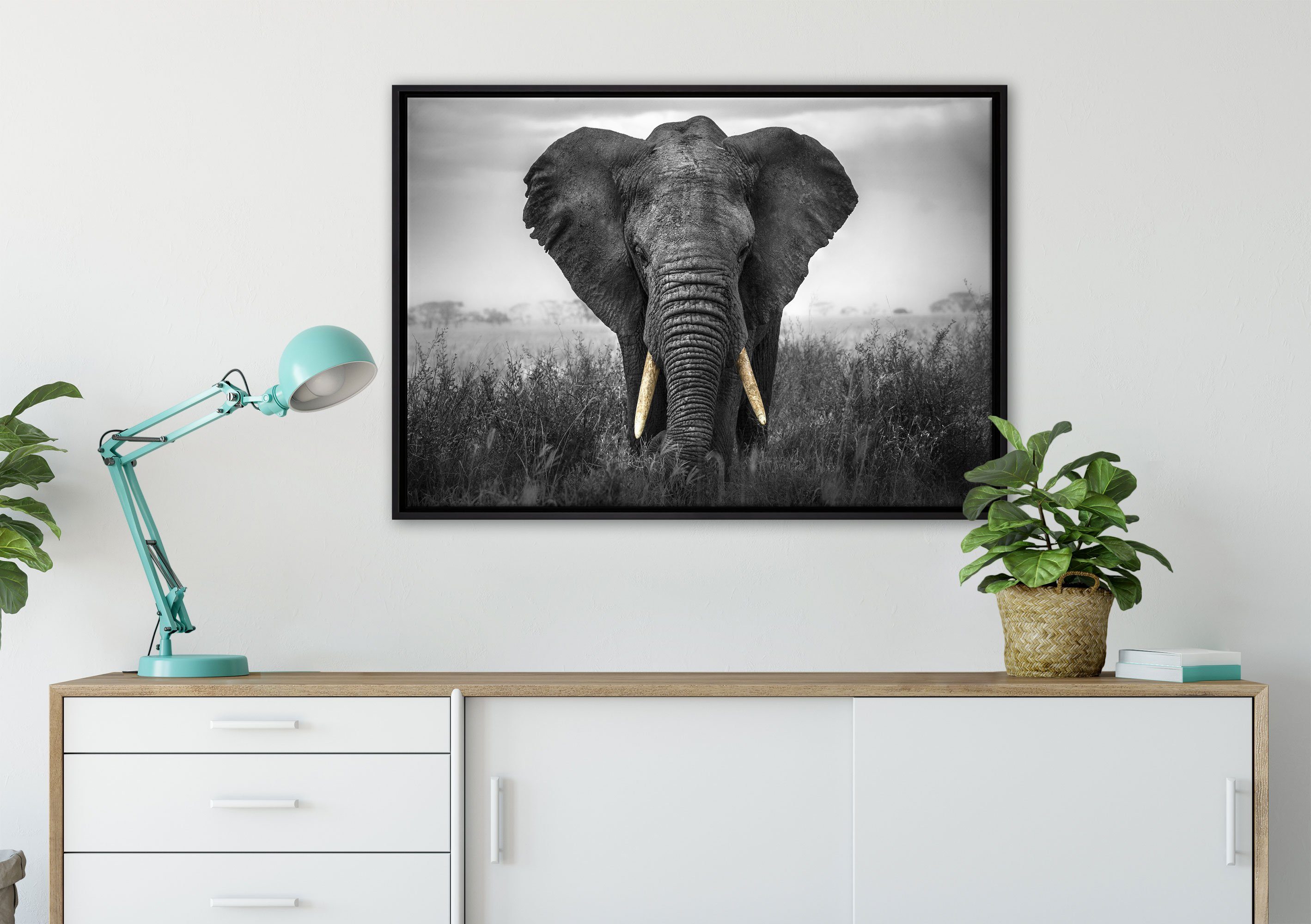 Leinwandbild einem Elefant, Zackenaufhänger inkl. St), prachtvoller gefasst, Pixxprint bespannt, (1 Schattenfugen-Bilderrahmen in Leinwandbild fertig Wanddekoration