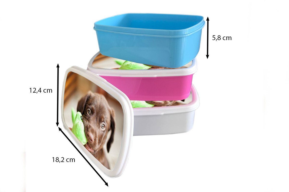 Brotdose, Kunststoff, und Mädchen Labrador-Welpe Brotbox Blatt, (2-tlg), Jungs frisst weiß MuchoWow für Erwachsene, Lunchbox und für Kinder