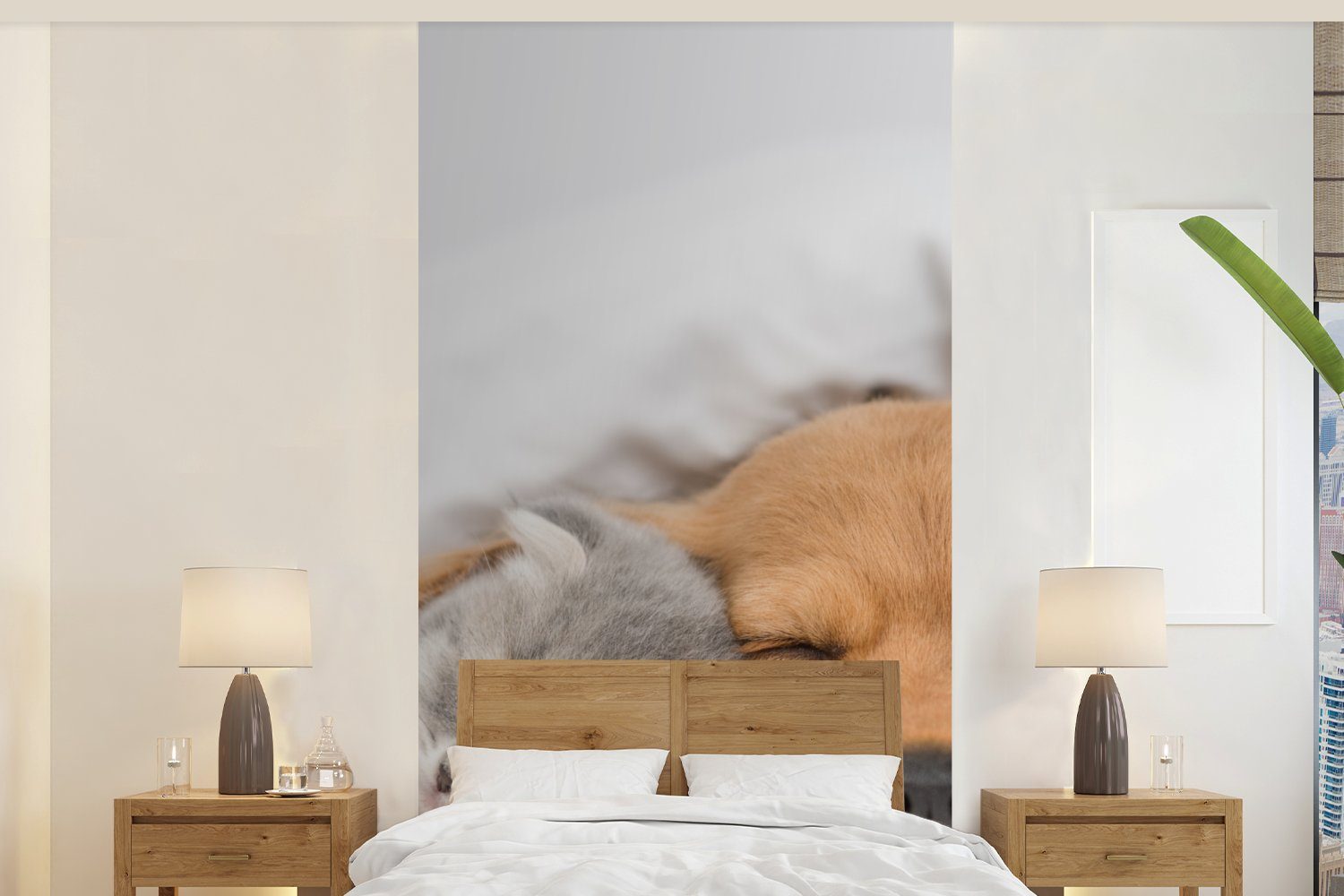 MuchoWow Fototapete Haustiere - Hund - Katze - Decke, Matt, bedruckt, (2 St), Vliestapete für Wohnzimmer Schlafzimmer Küche, Fototapete