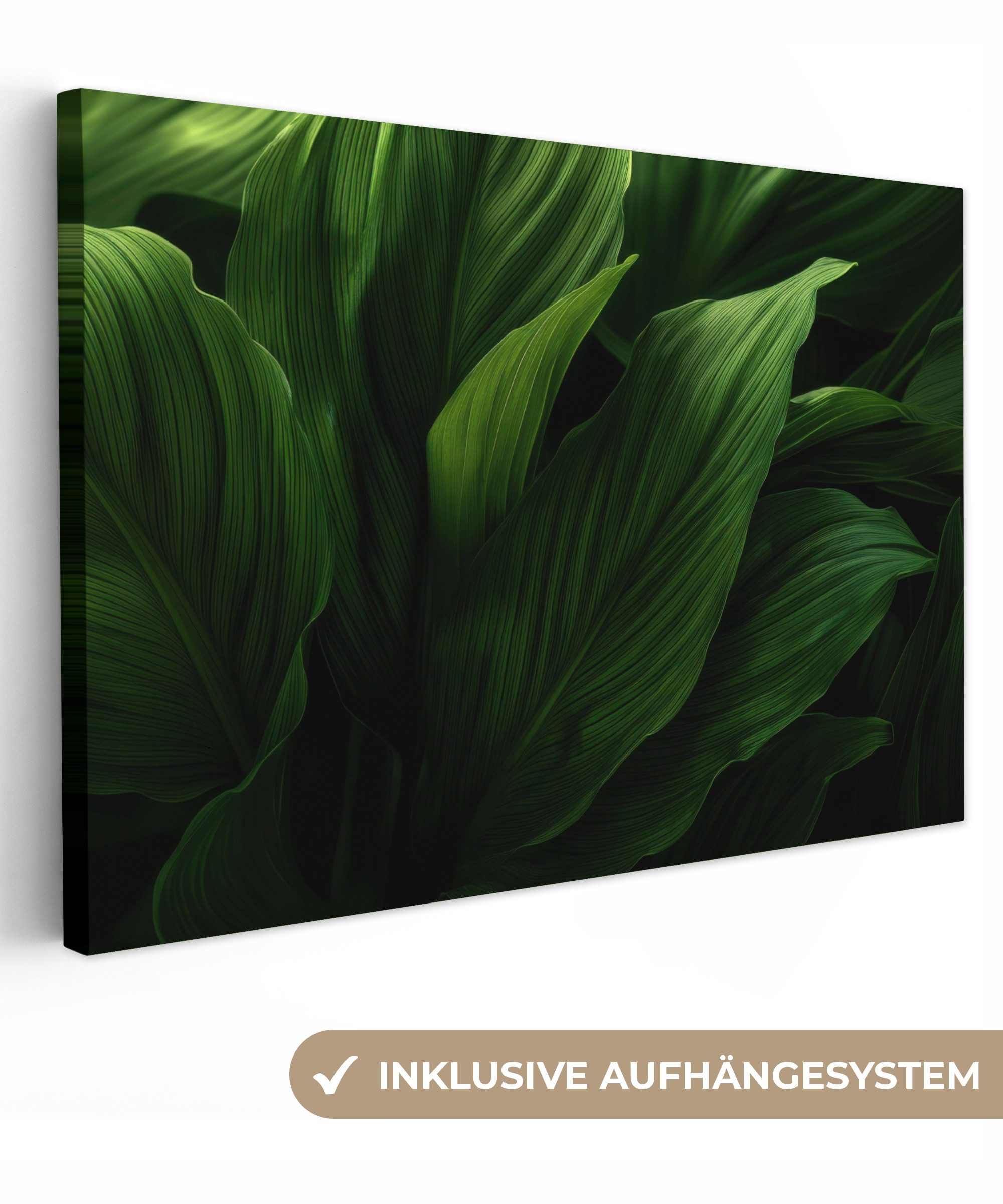 OneMillionCanvasses® Leinwandbild Blätter - Schatten - günstig online kaufen