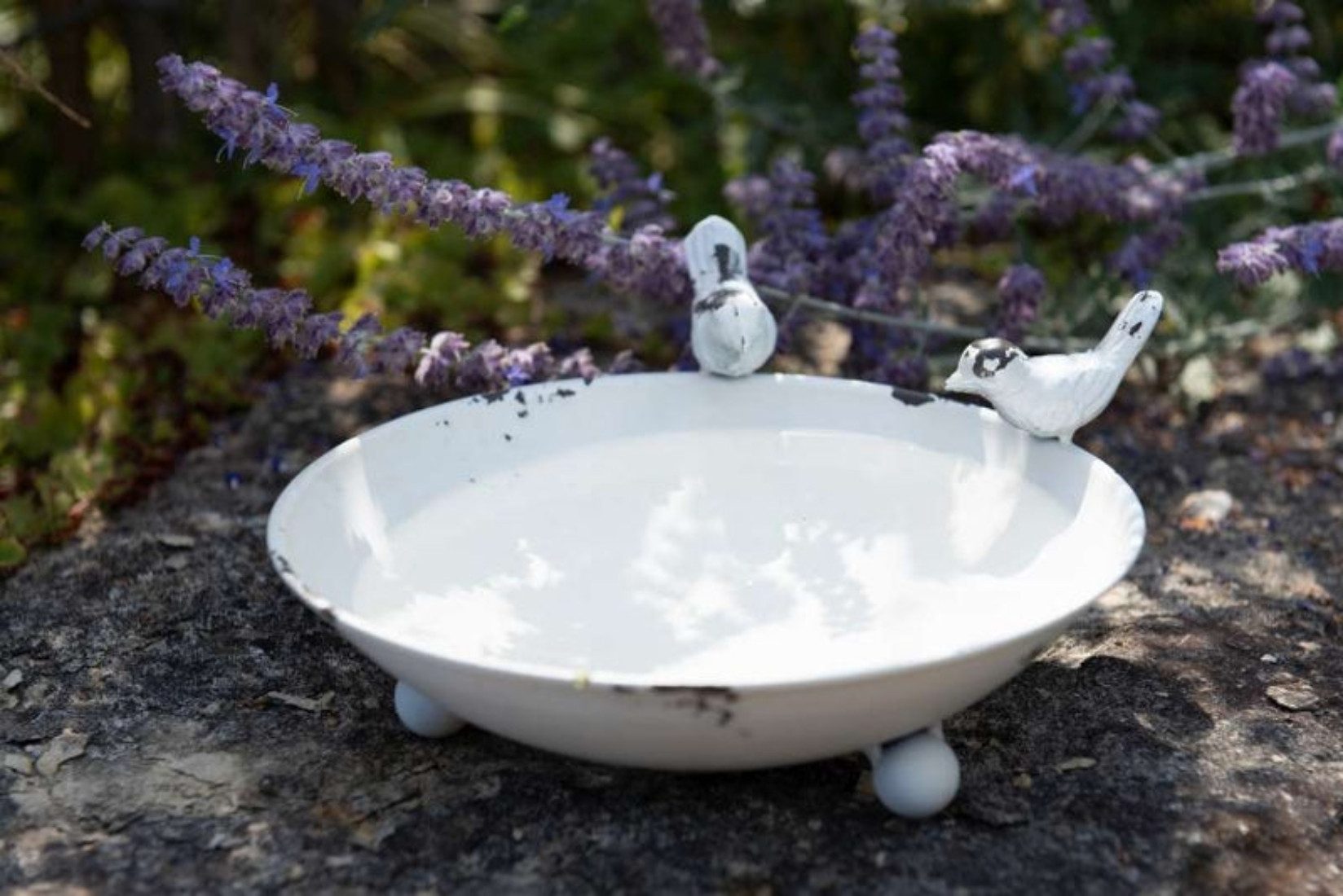 finehomegarden Vogeltränke Vogeltränke Metall weiss Ø25x22cm H10cm Vogelbad Wasserstelle, Landhaus 2Vögel Futterstelle Garten Futterstadion / Paket