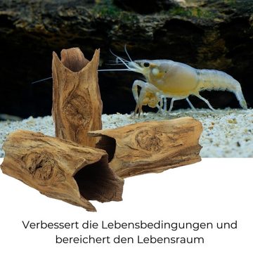 GarPet Aquariendeko Aquarium Deko Rauer Baumstamm Ablaich Laich Ton Höhle Röhre Barsch