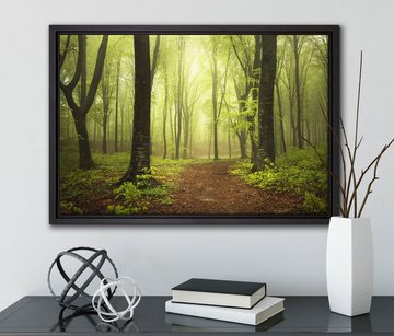 Pixxprint Leinwandbild Weg im Wald, Wanddekoration (1 St), Leinwandbild fertig bespannt, in einem Schattenfugen-Bilderrahmen gefasst, inkl. Zackenaufhänger