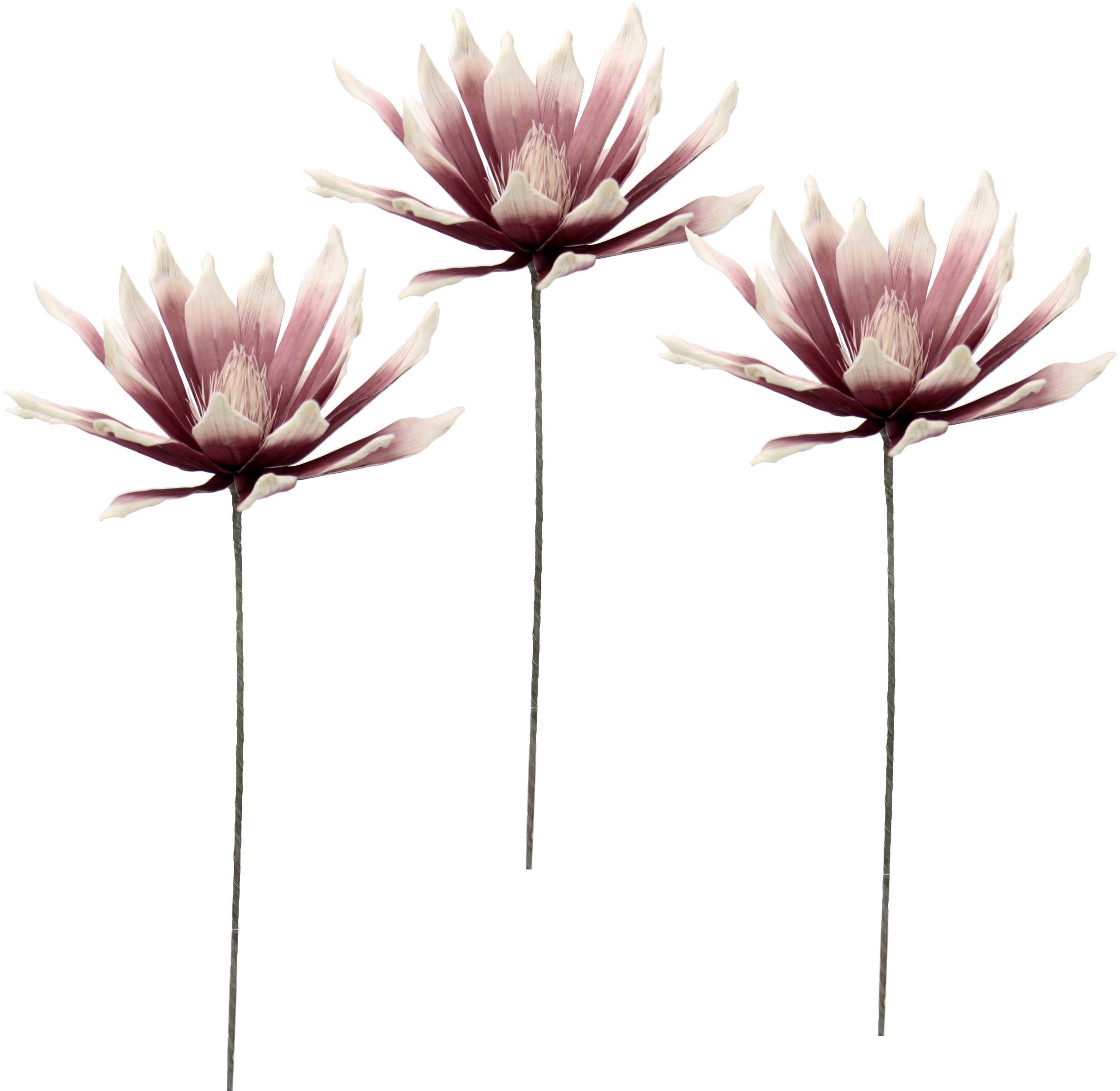 I.GE.A., 3er Kunstblume cm, 84 Höhe Soft-Protea, rosa/weiß Set